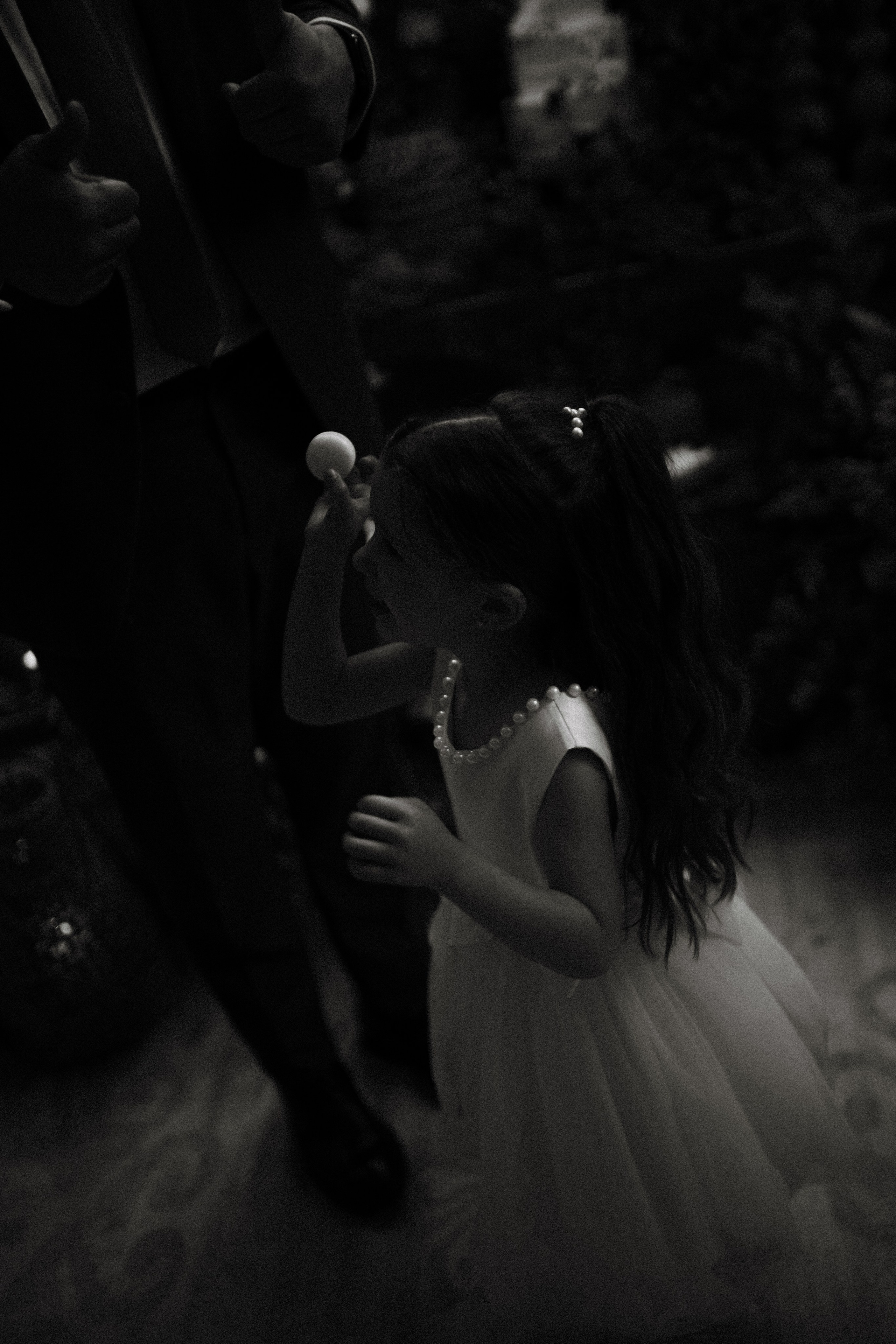 Nátalie e Andrei. Alexandre Borges Wedding