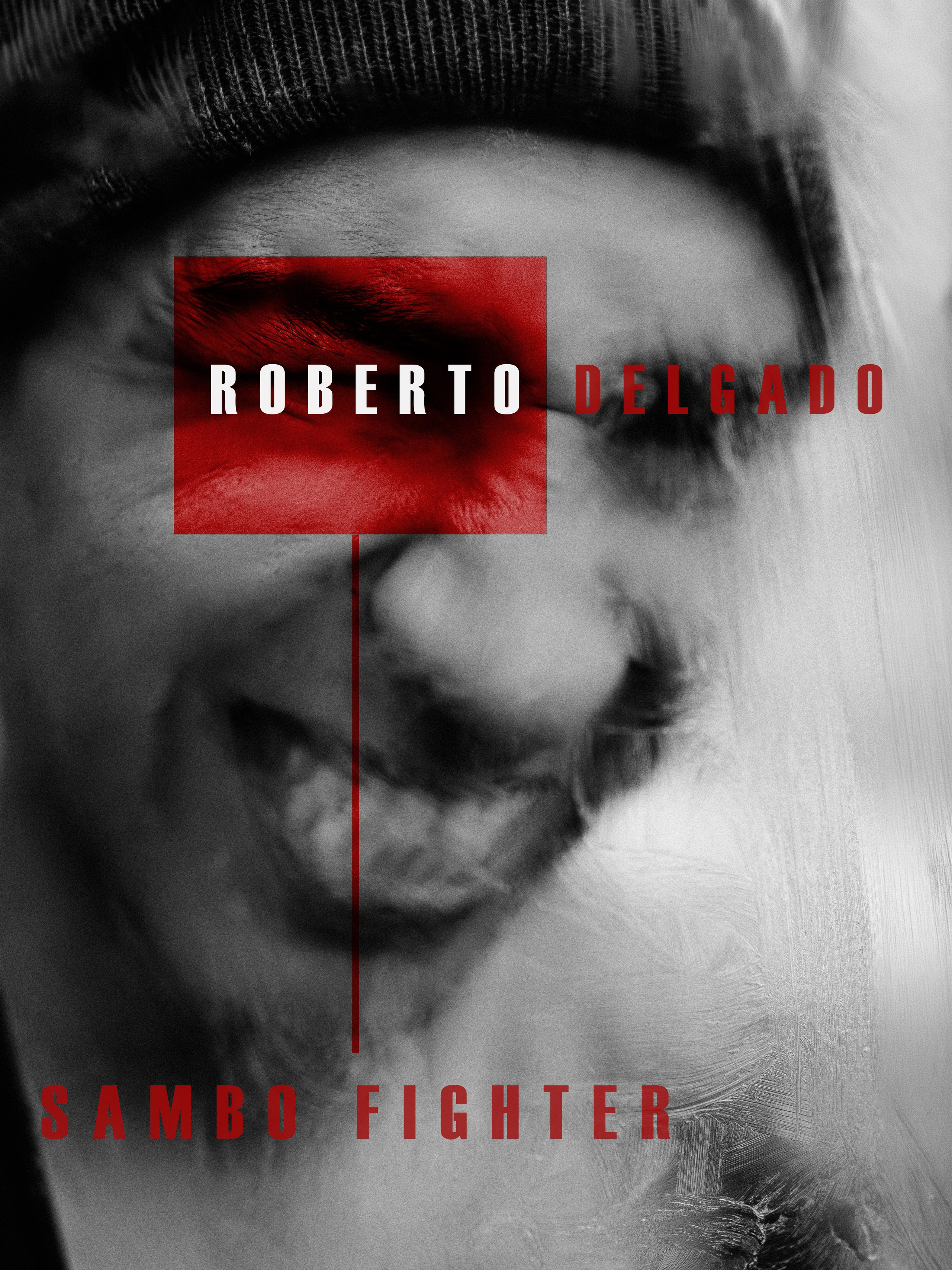 Entre Calles y Combates - Roberto Delgado. TWO MILLIMETERS