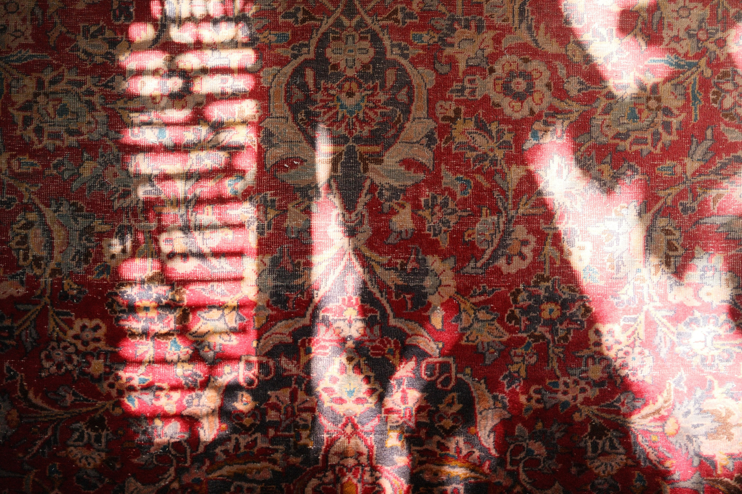 Diogo Bastos — Photo & Films