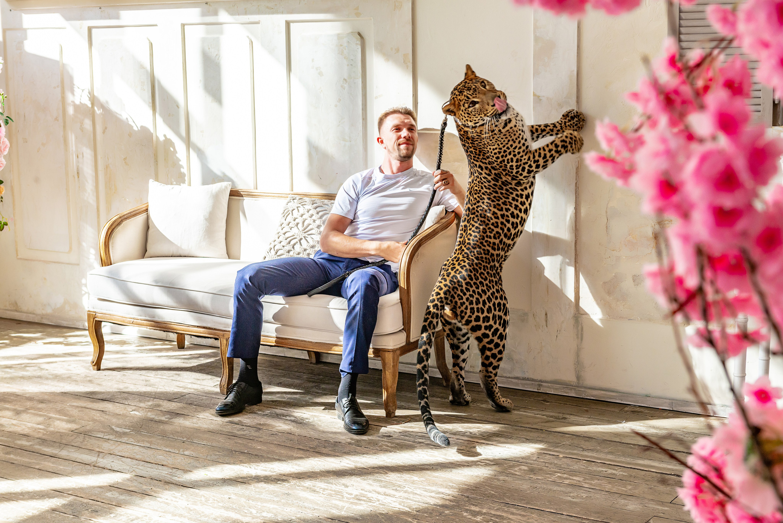 Photosession in the studio with a leopard. PHOTOGRAPHER QUINTANA ROO