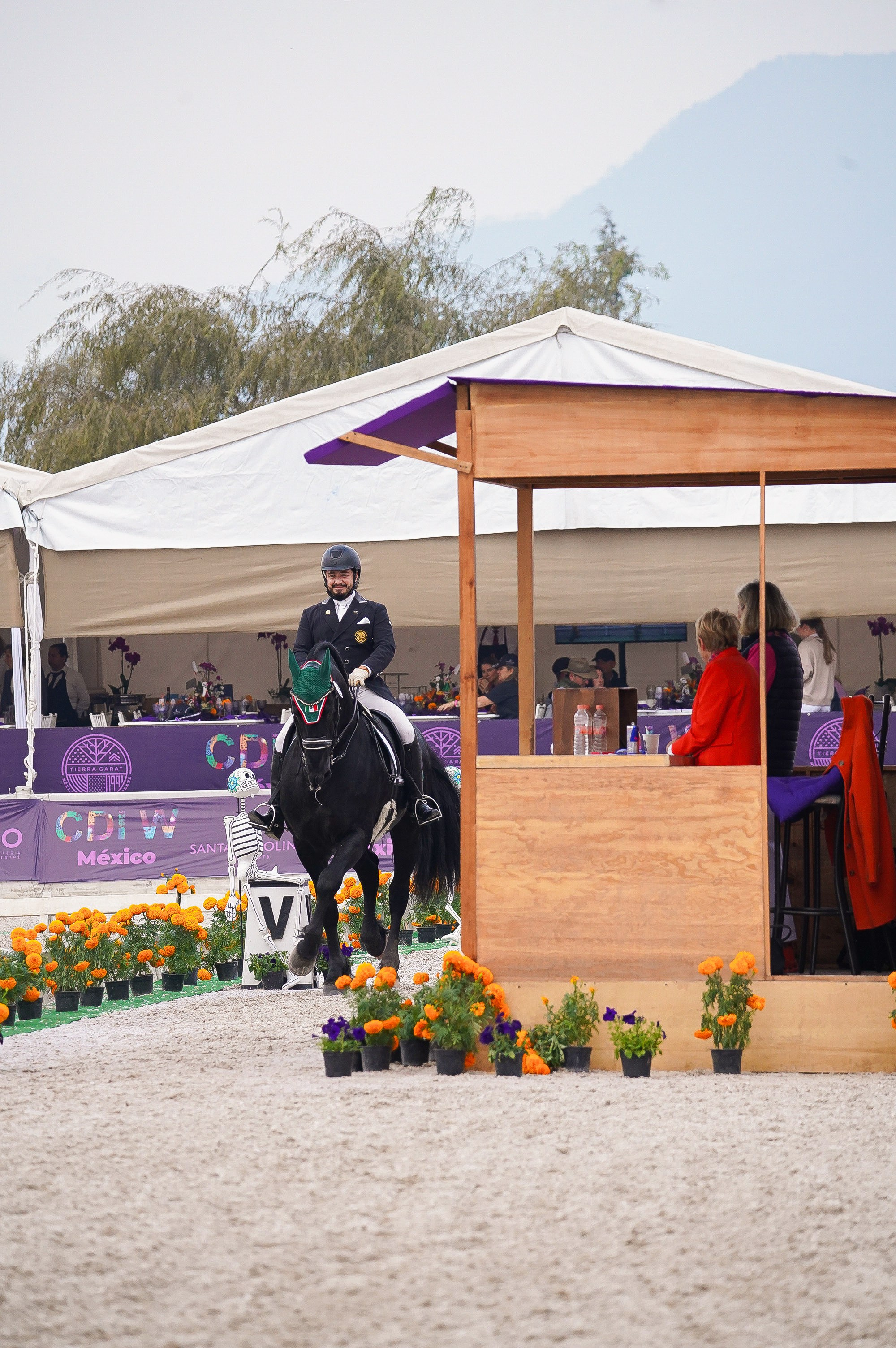 Vacation photoshoot in Mexico City. Capture your trip with a professional photographer. Horse riding dressage doma clasica show jumping Tour. Ekaterina Frolova photography