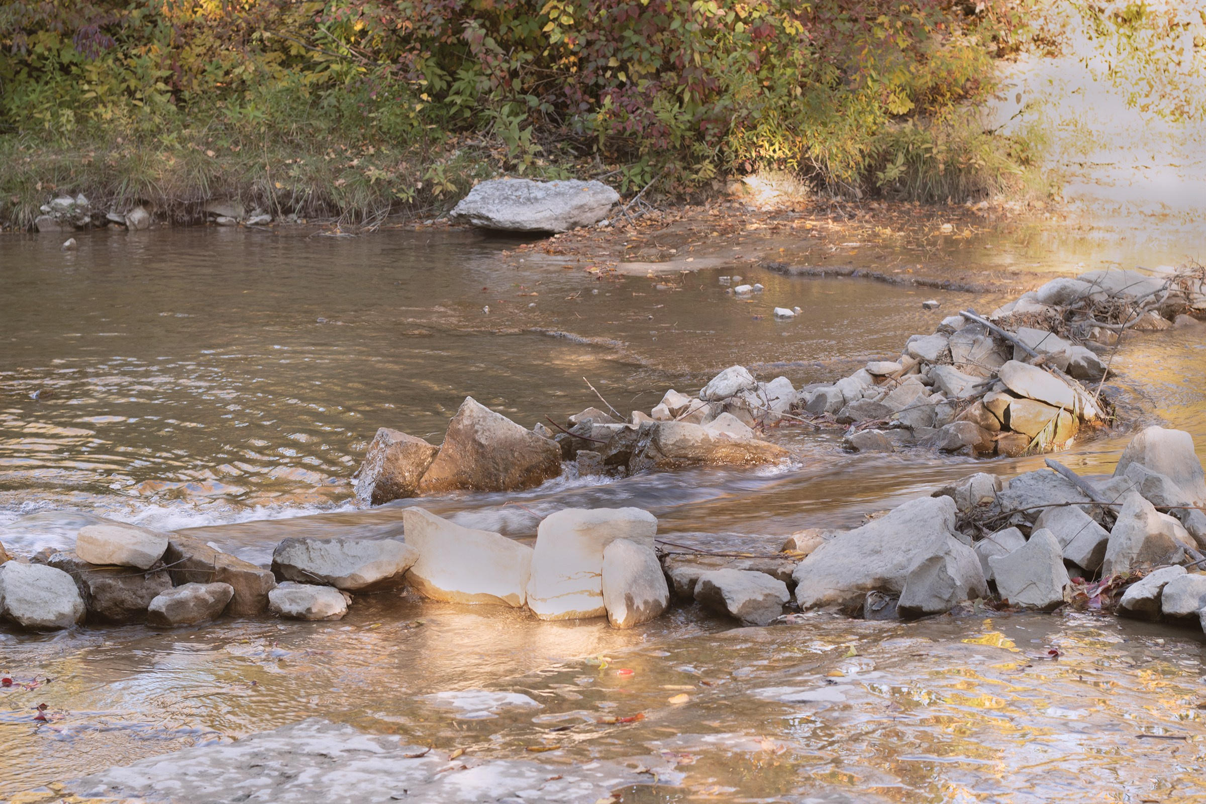 Outdoor photo session with kids. Pretty river, Ontario. Toronto Portrait Photographer Lena Lac