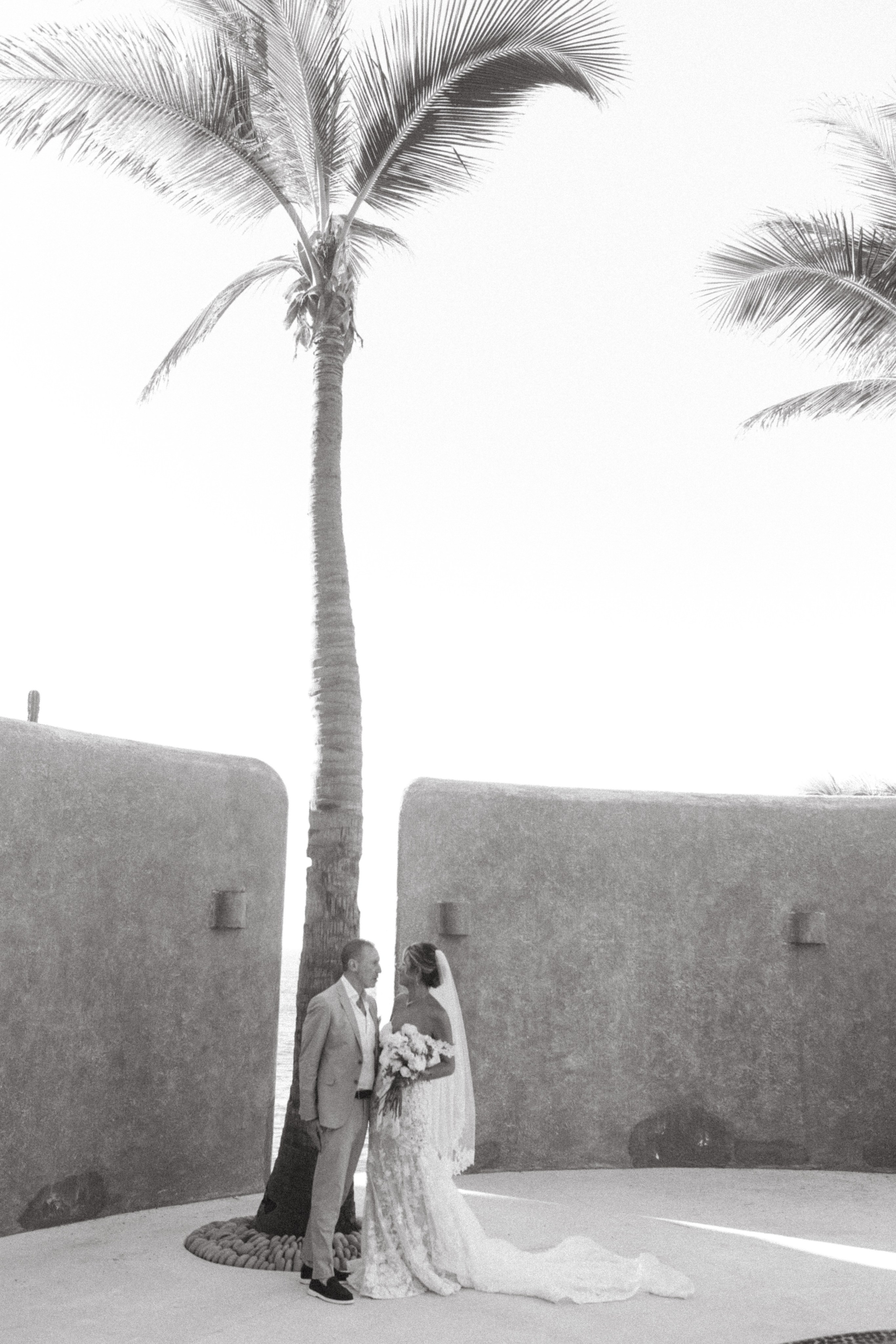 Cabo wedding photographer and videographer
