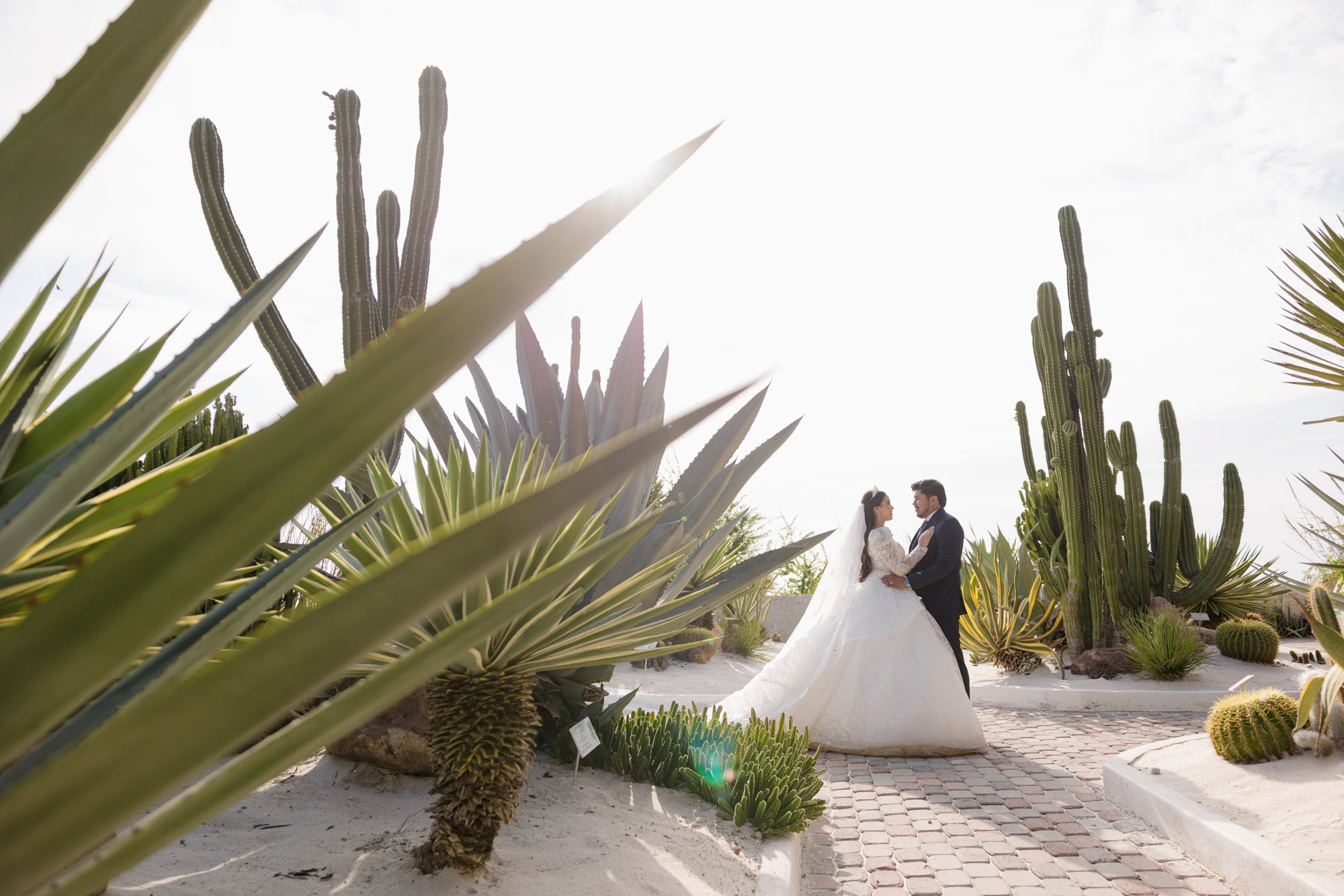 FOTOGRAFÍAS. AZ Films | Videografo de bodas en Mazatlán Sinaloa