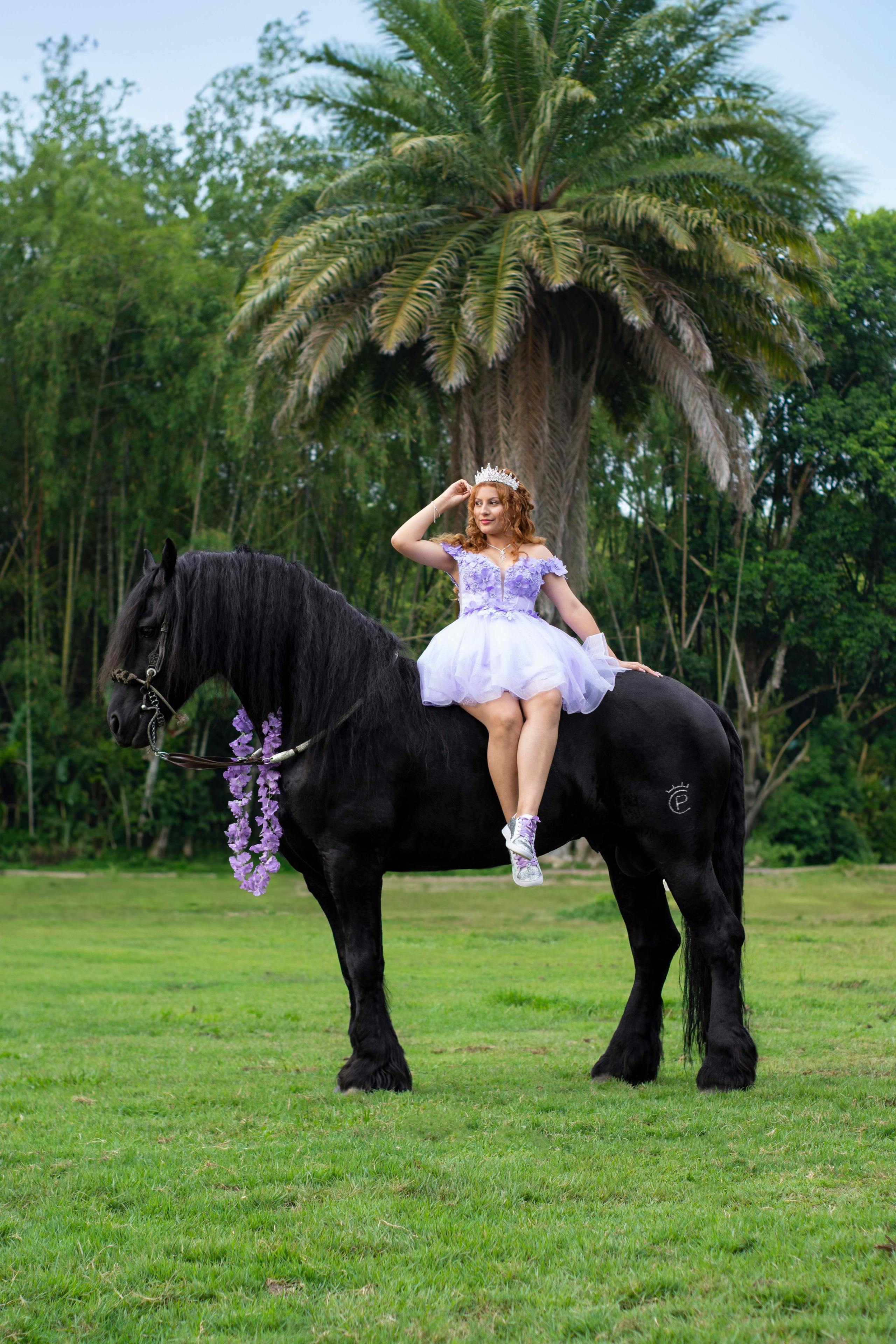quince años con caballo 