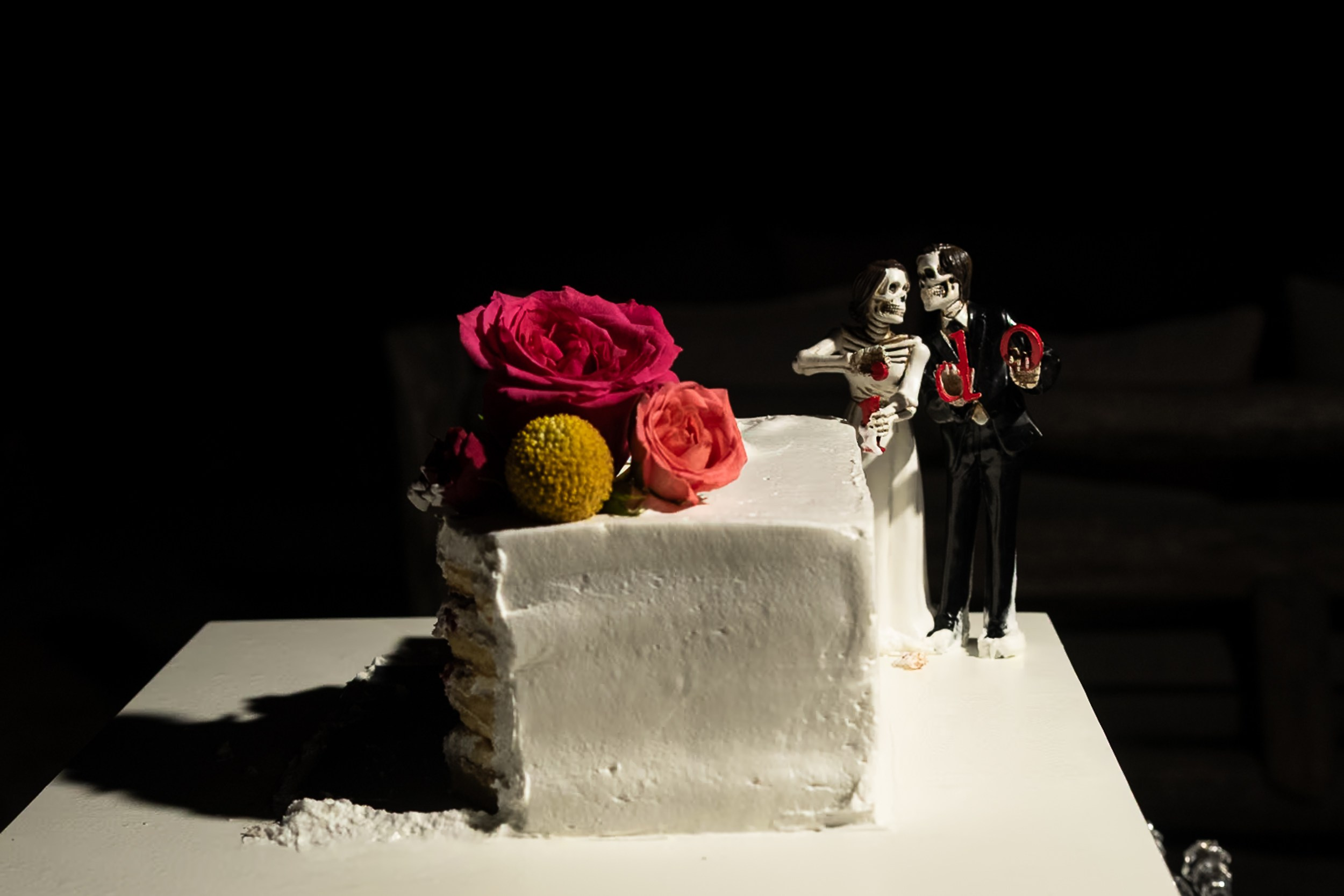 Aggie & Brian. Fotografía de Bodas Profesionales en Puerto Vallarta y Riviera Nayarit