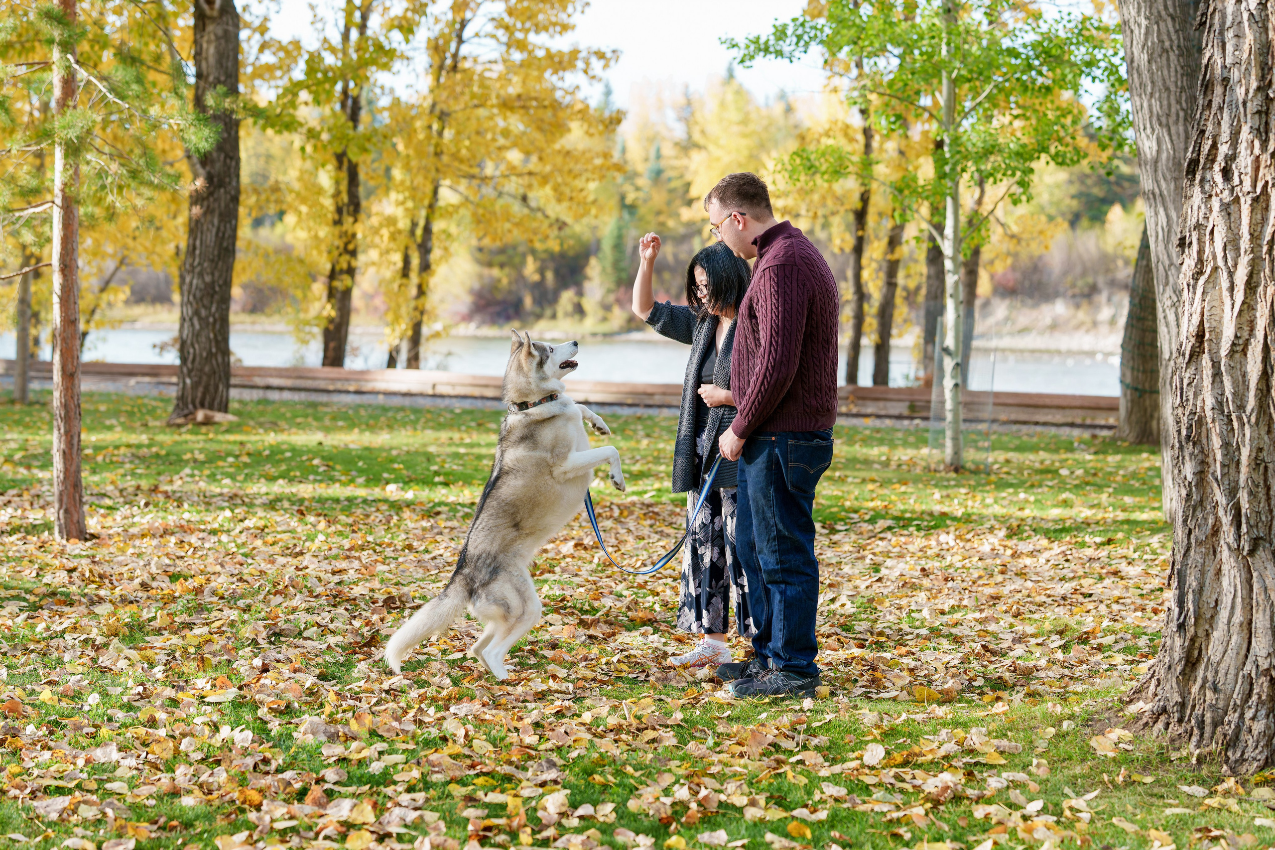 Emily’s Family — Calgary. Engagement, Wedding & Family Photographer in Calgary | allo Photography