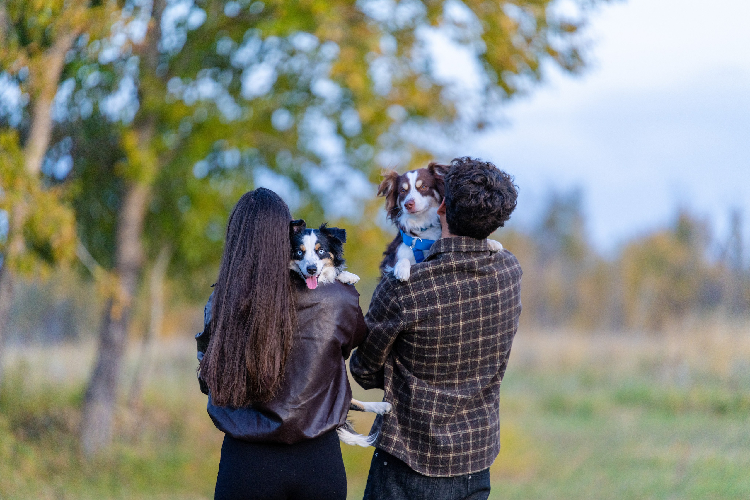 Karen & John — Calgary. Engagement, Wedding & Family Photographer in Calgary | allo Photography