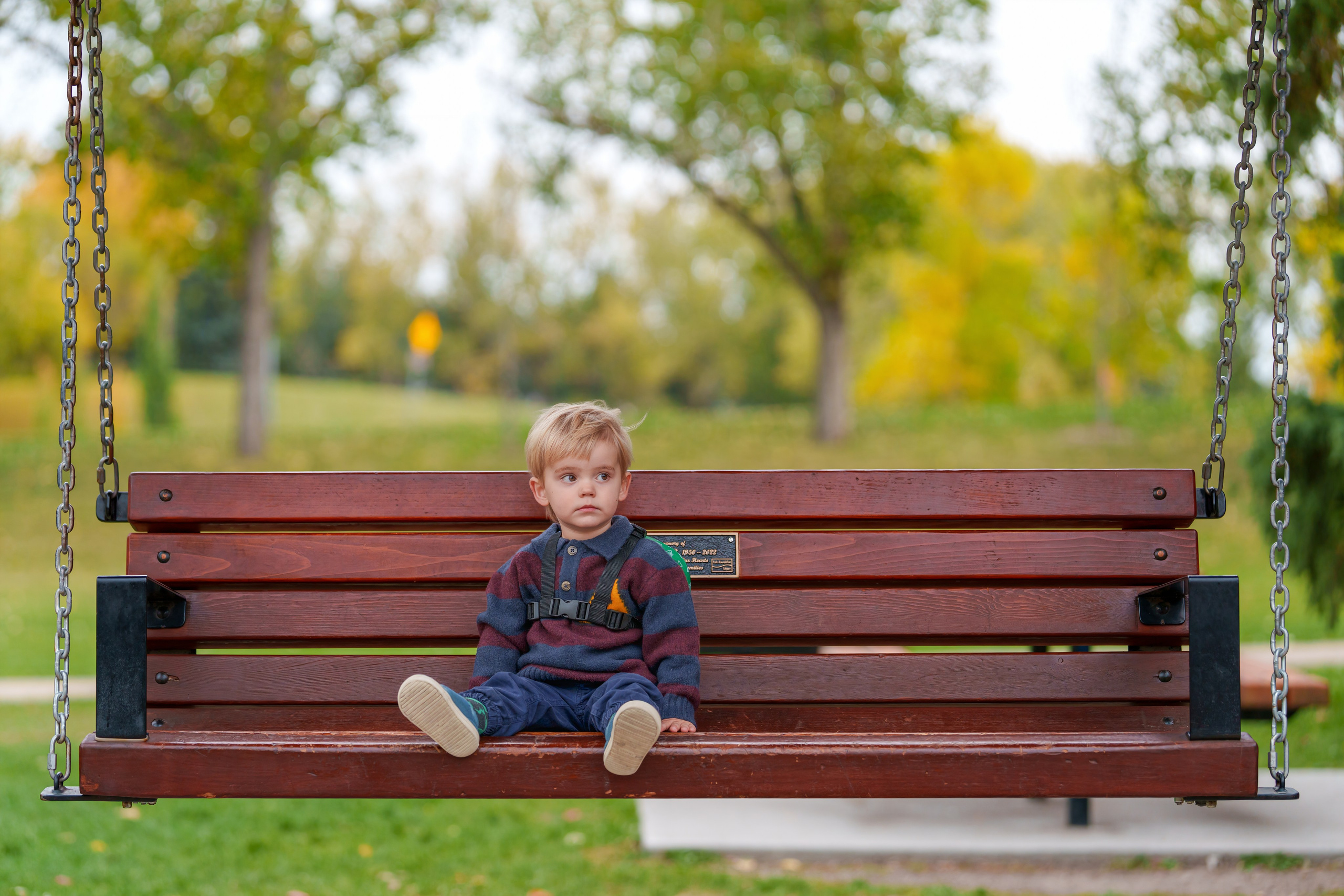 Mckay Family. Engagement, Wedding & Family Photographer in Calgary | allo Photography