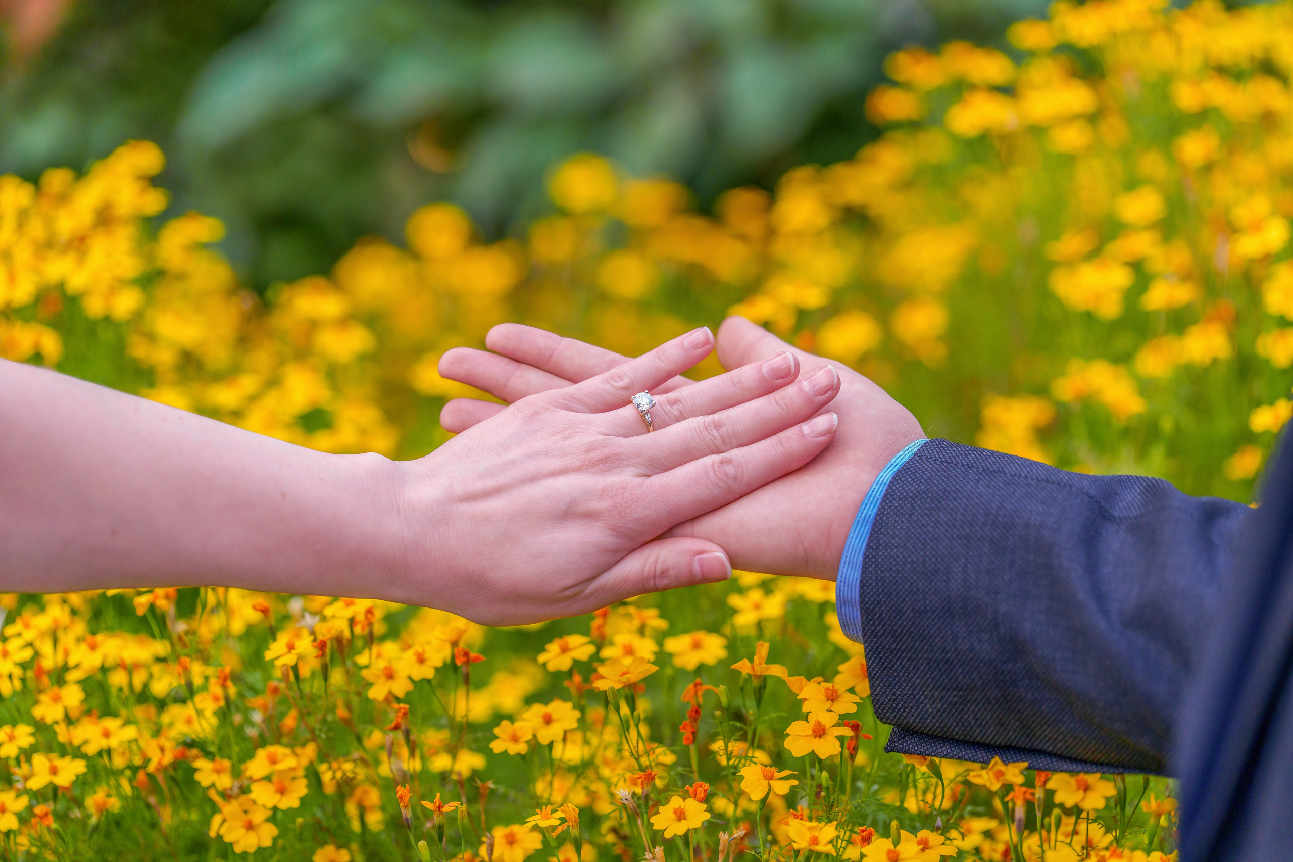 Carlin & Chelsea — Engagement — Calgary. Engagement, Wedding & Family Photographer in Calgary | allo Photography