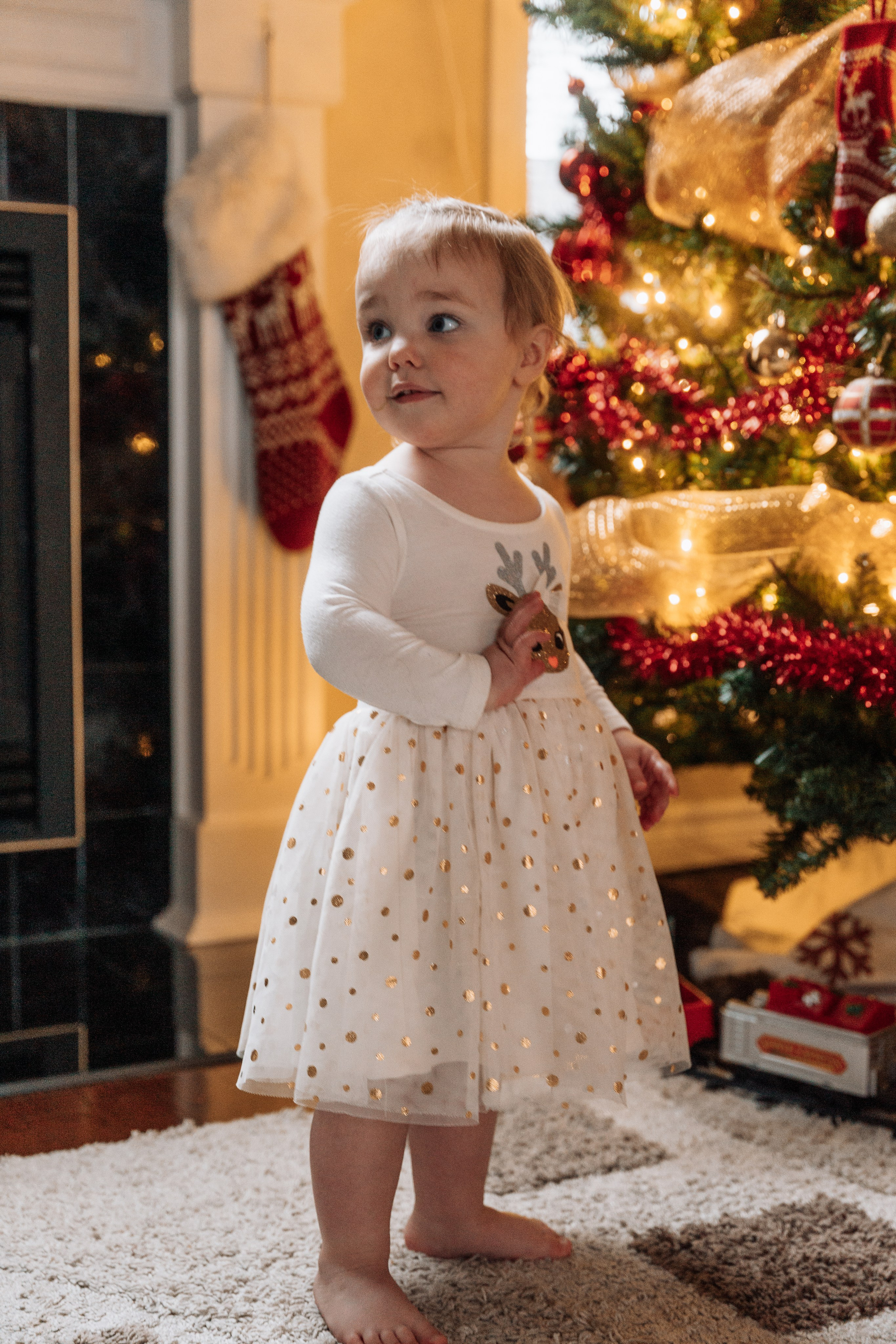 Wedding, Family, Portrait and Commercial Photography Portfolio | Photographer in Windsor & Toronto, Ontario. Inna Kovaleva — Photographer in Windsor/Toronto, ON