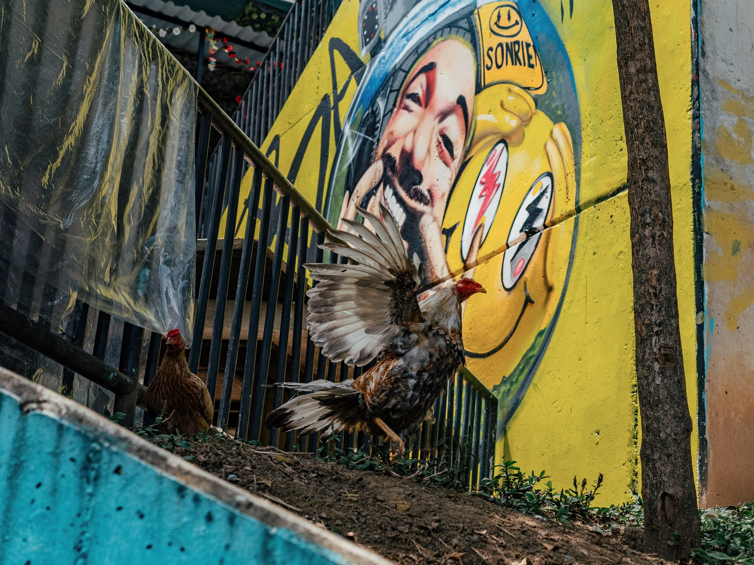 Comuna 13, Medellín, Colombia. Federico Borobio, fotografía callejera y documental.