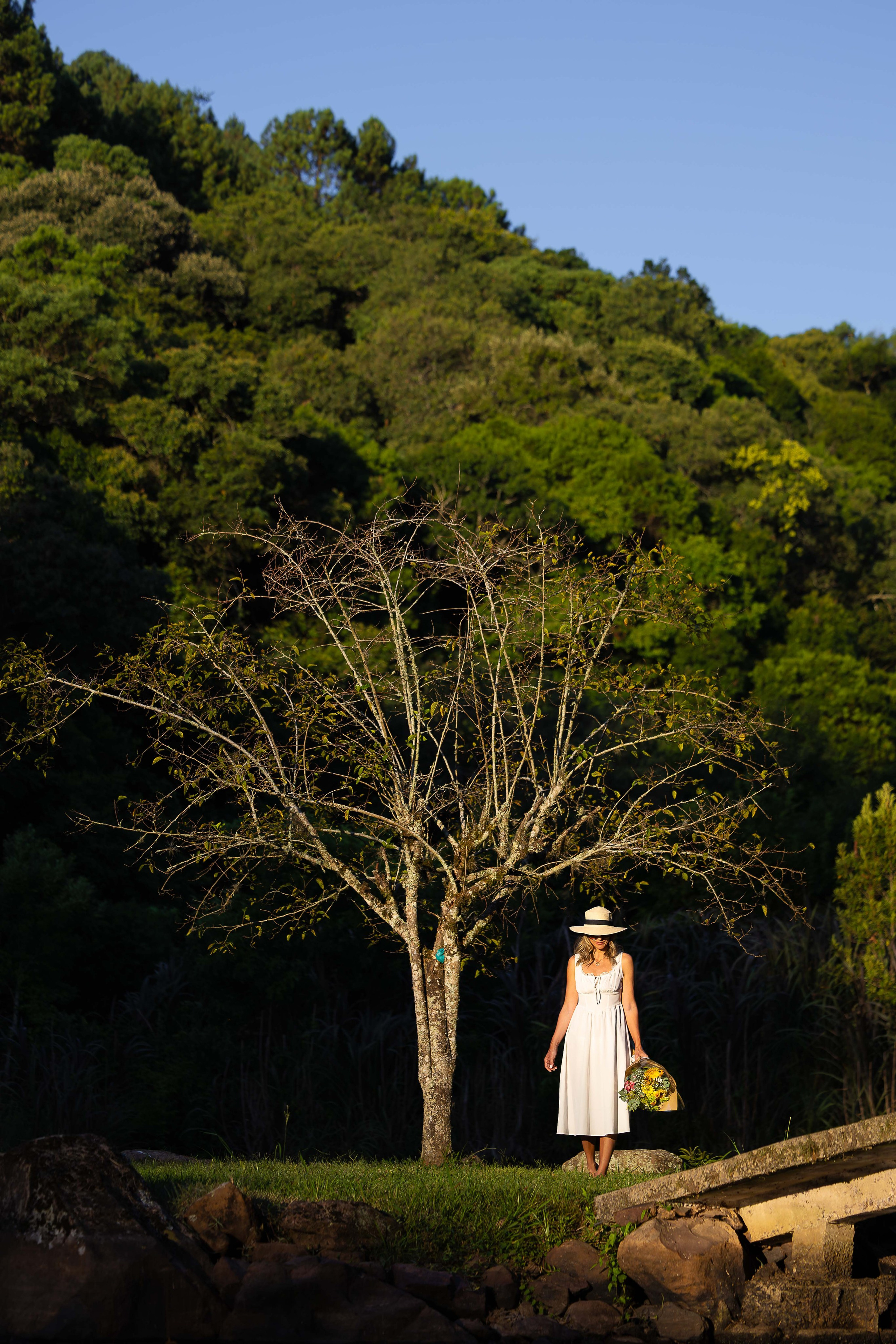 Essência e simplicidade. LucianoRP | Fotografia