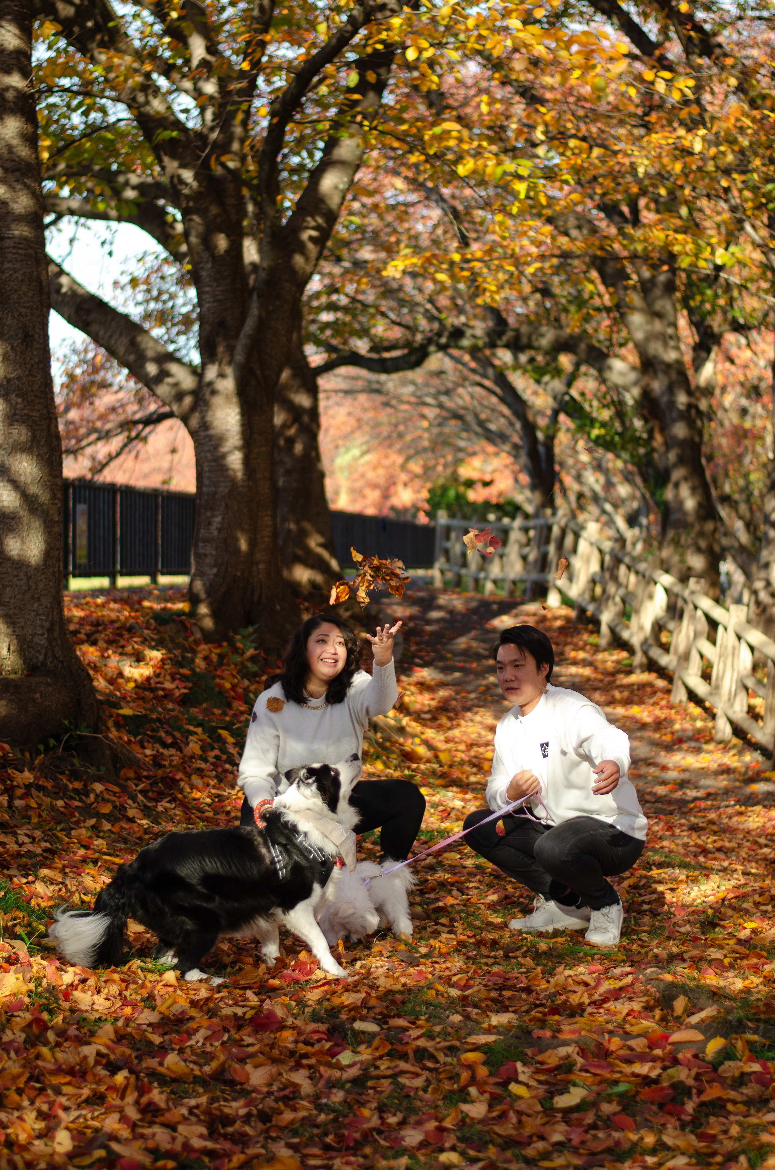 Autmn Season Family. LunarVox Lens: a lente que transforma luz em voz e emoção. Retratos e ensaios no Japão por Leyka Tanaka