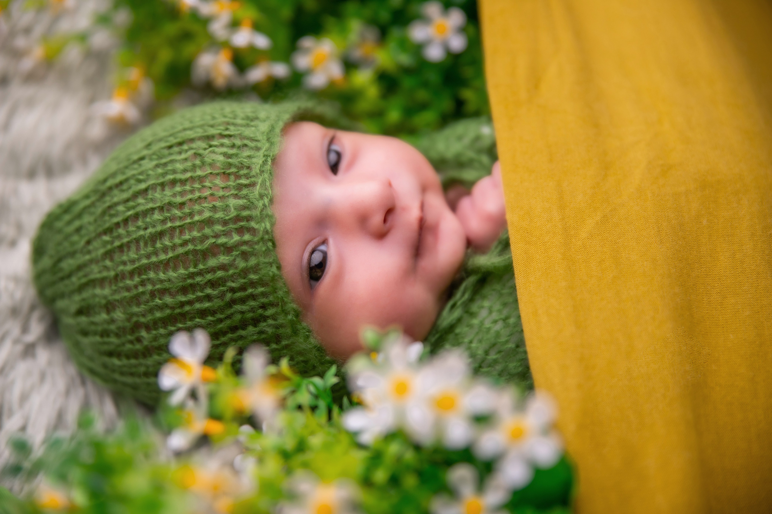 Newborns. Lifestyle and Family Photographer Faryal Saeed