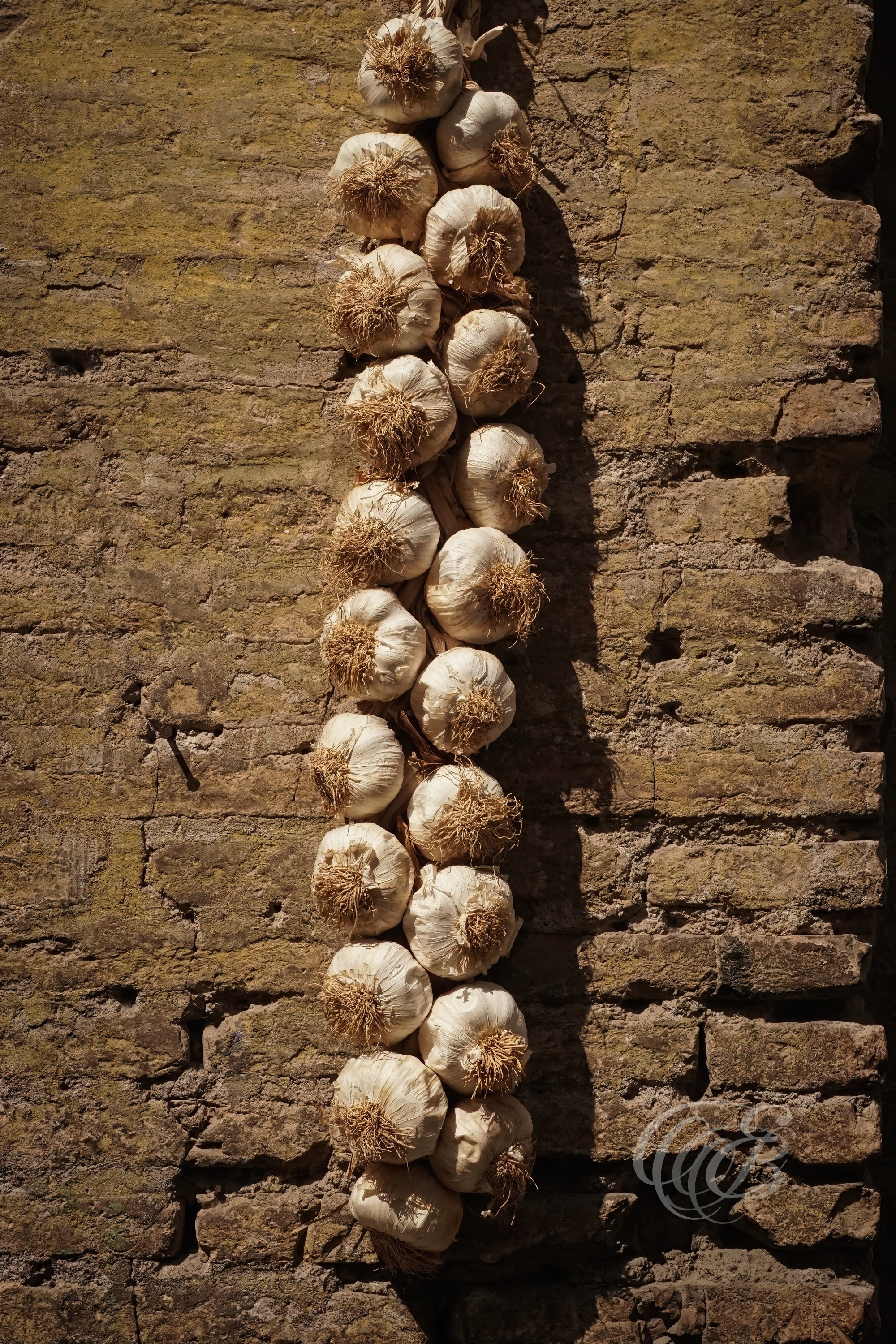 ITALY PHOTOGRAPHY — Roman Garlic in a String — Traditional string of garlic displayed in Rome, reflecting the culinary traditions and everyday culture of Italy — Eduardo Bartoli Photography.