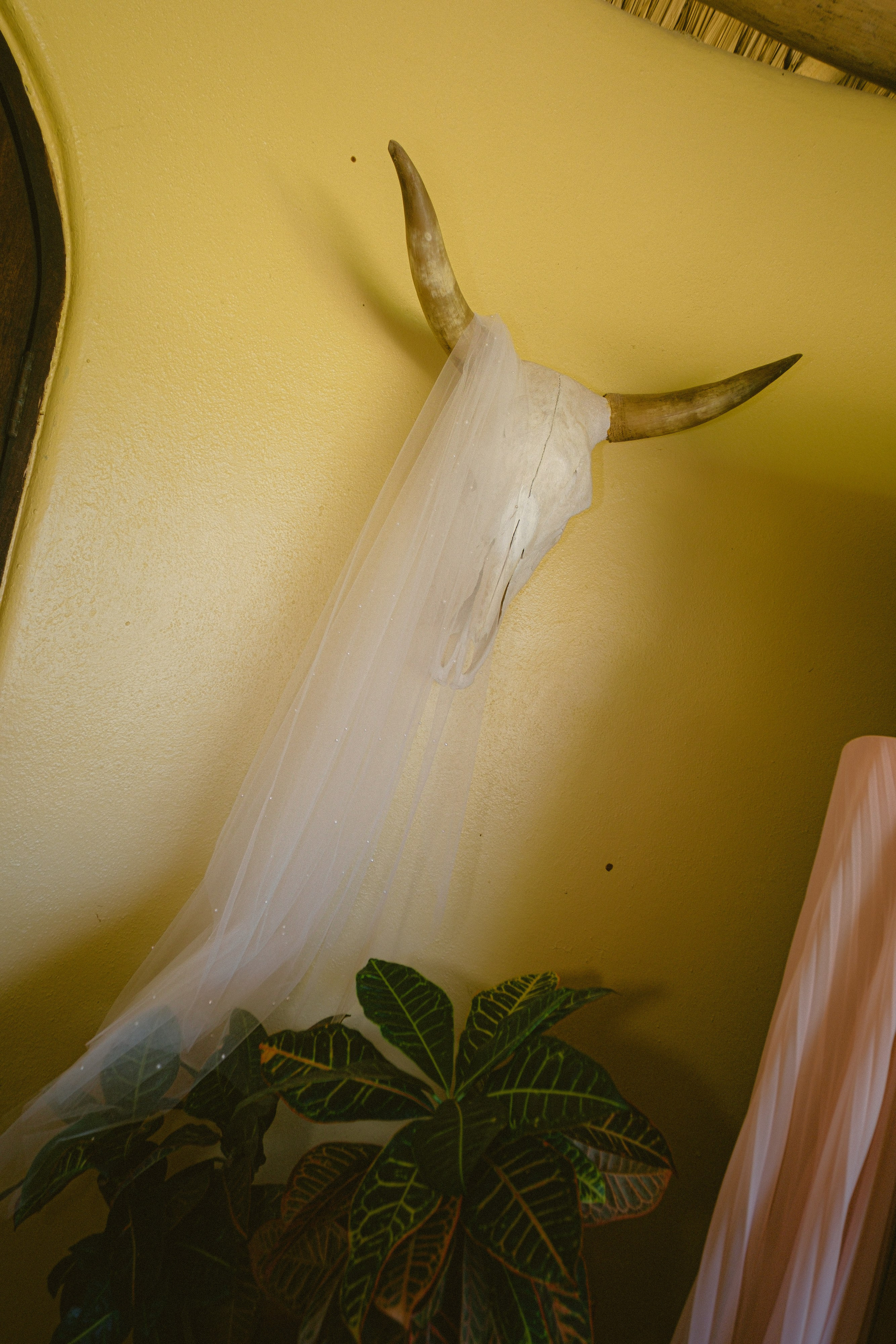 Byron & Kate. Sayulita Wedding Photographer, Puerto Vallarta, Cabo
