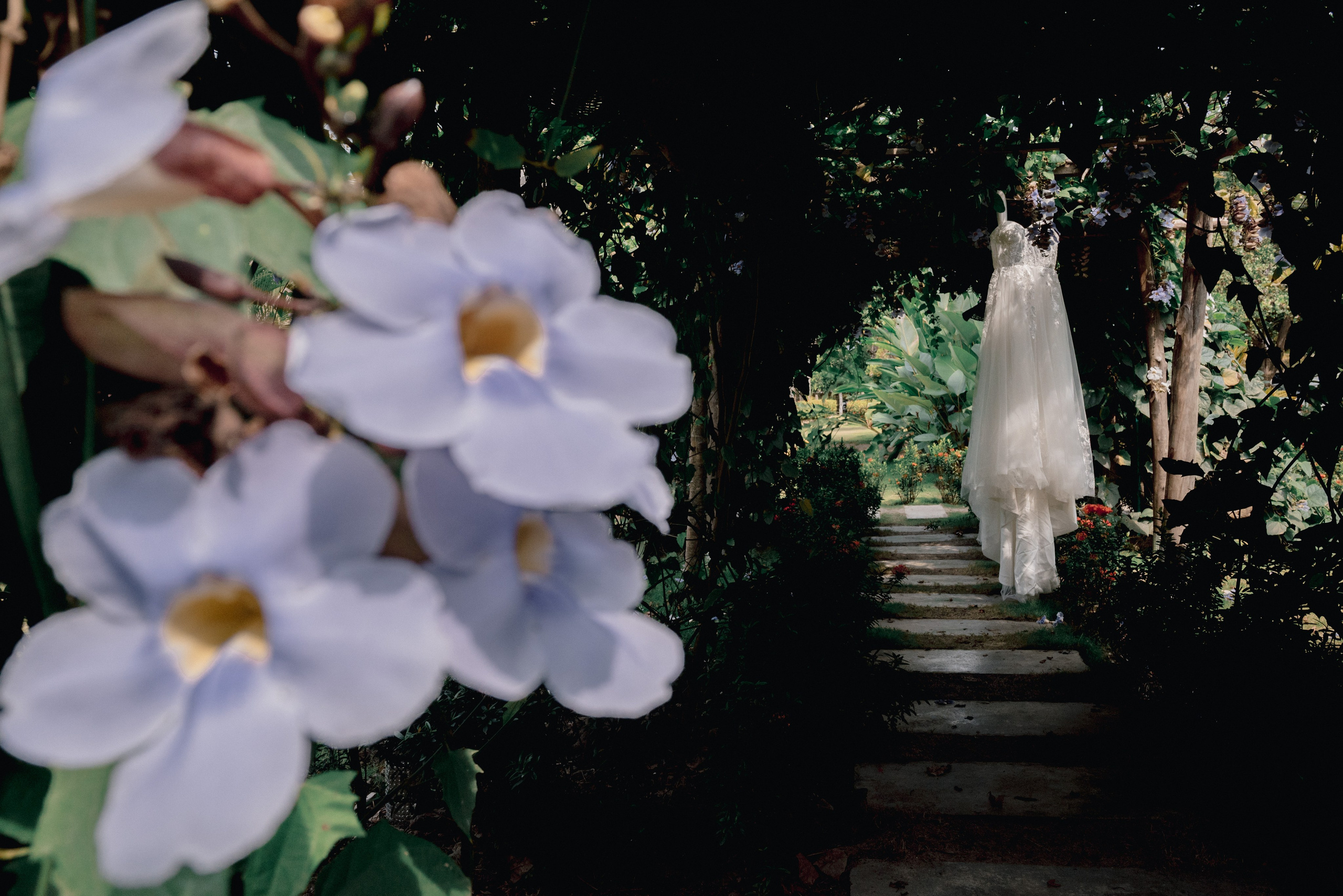 Detalles Fotogénicos en Bodas | No Olvides Estos Detalles – BanderArt. Fotógrafos de bodas en Barranquilla, Cartagena y Santa Marta | BanderArt