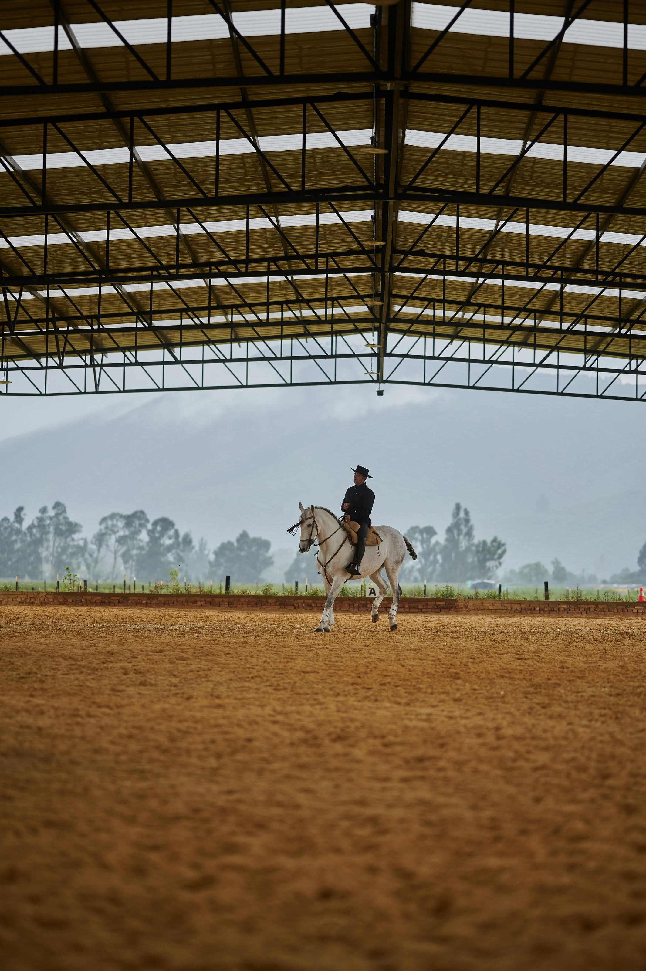 Fotos con caballos para Quiceaños. Wedding Photography & Videography by ZZ Hendrick | Capturing Your Love Story in Colombia & USA
