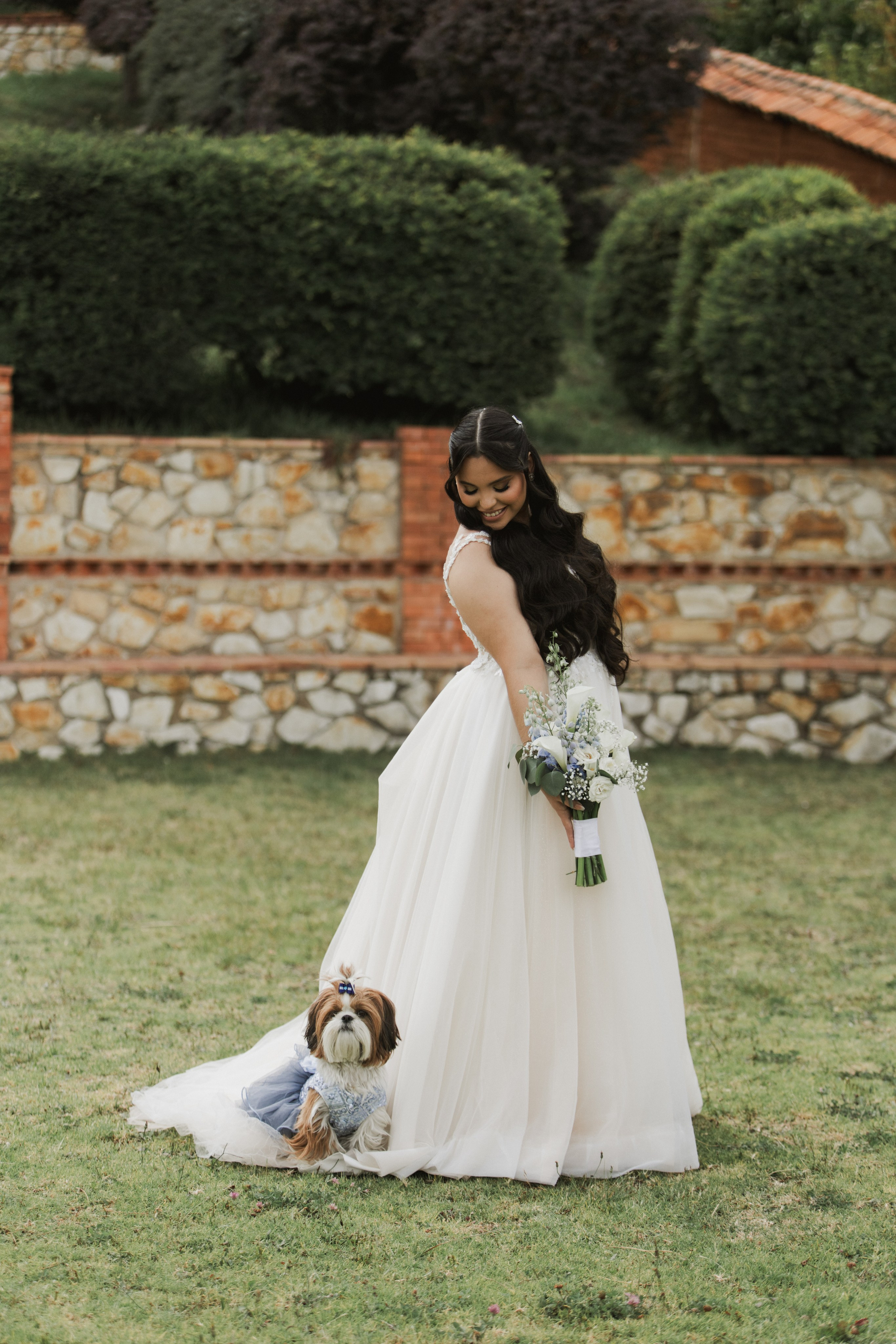 BODAS. FOCALMAGIC