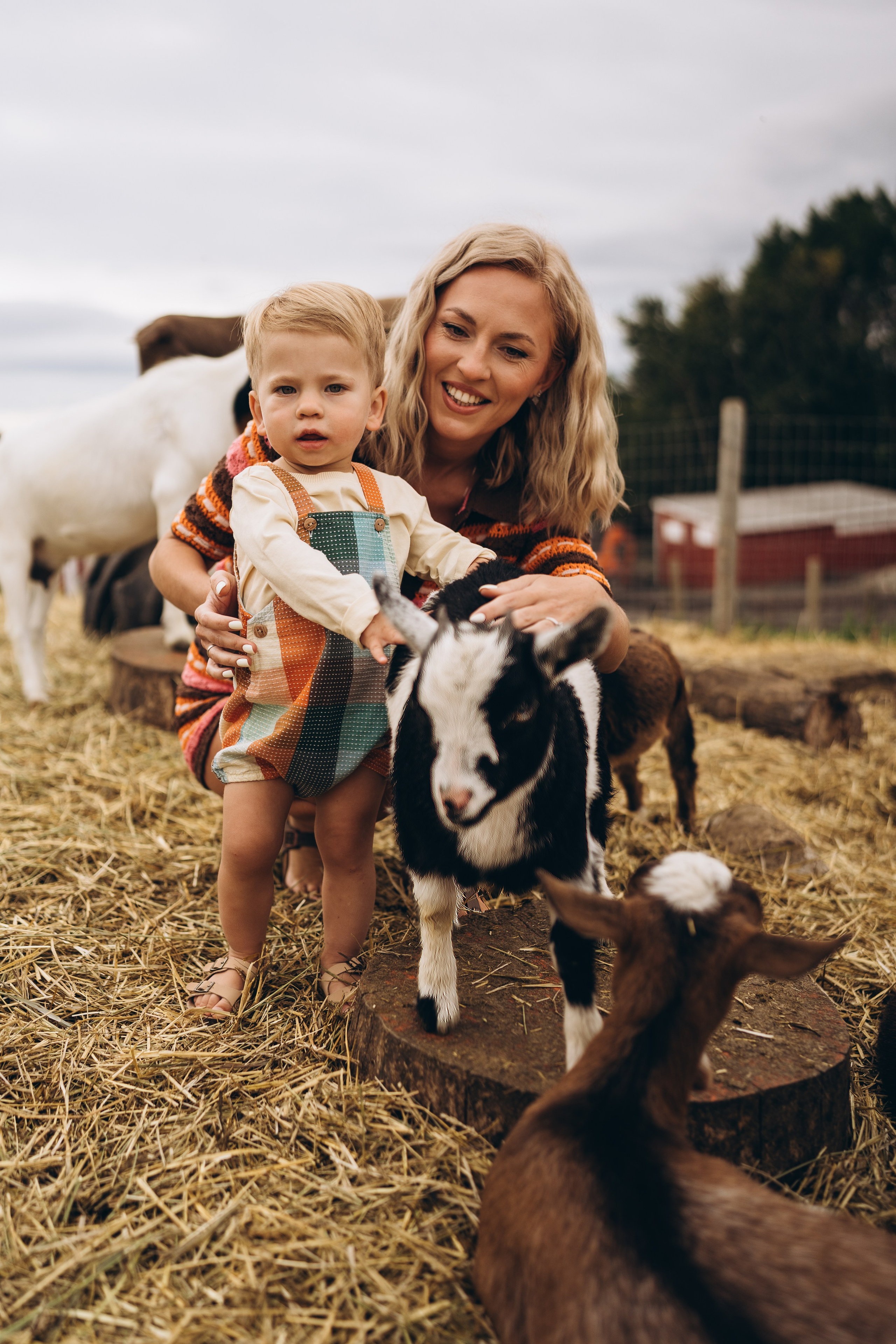 Roksolana & fam. Calgary Wedding & Lifestyle Photographer — Yevhen Polishchuk