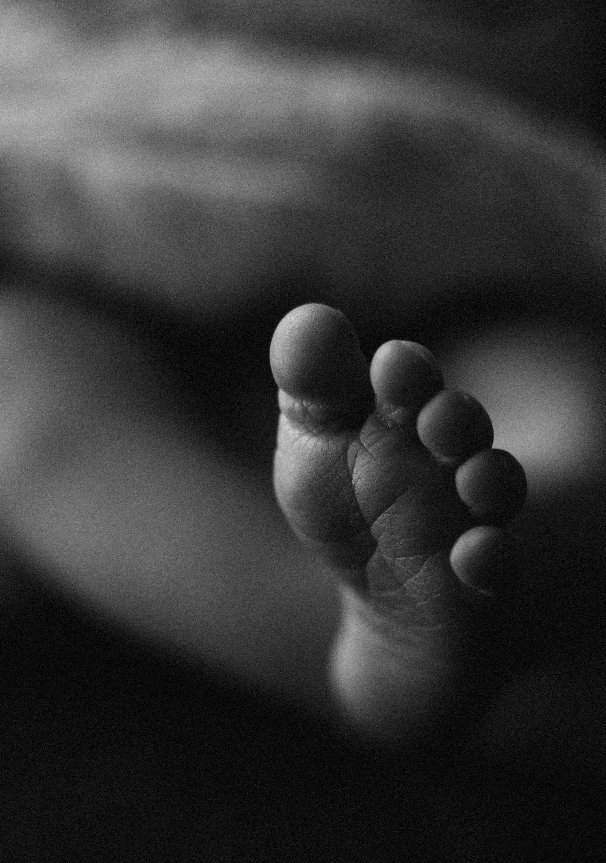 Newborn. Wedding Photographer in Winnipeg — Cinematic & Timeless by Vitiuk Photography