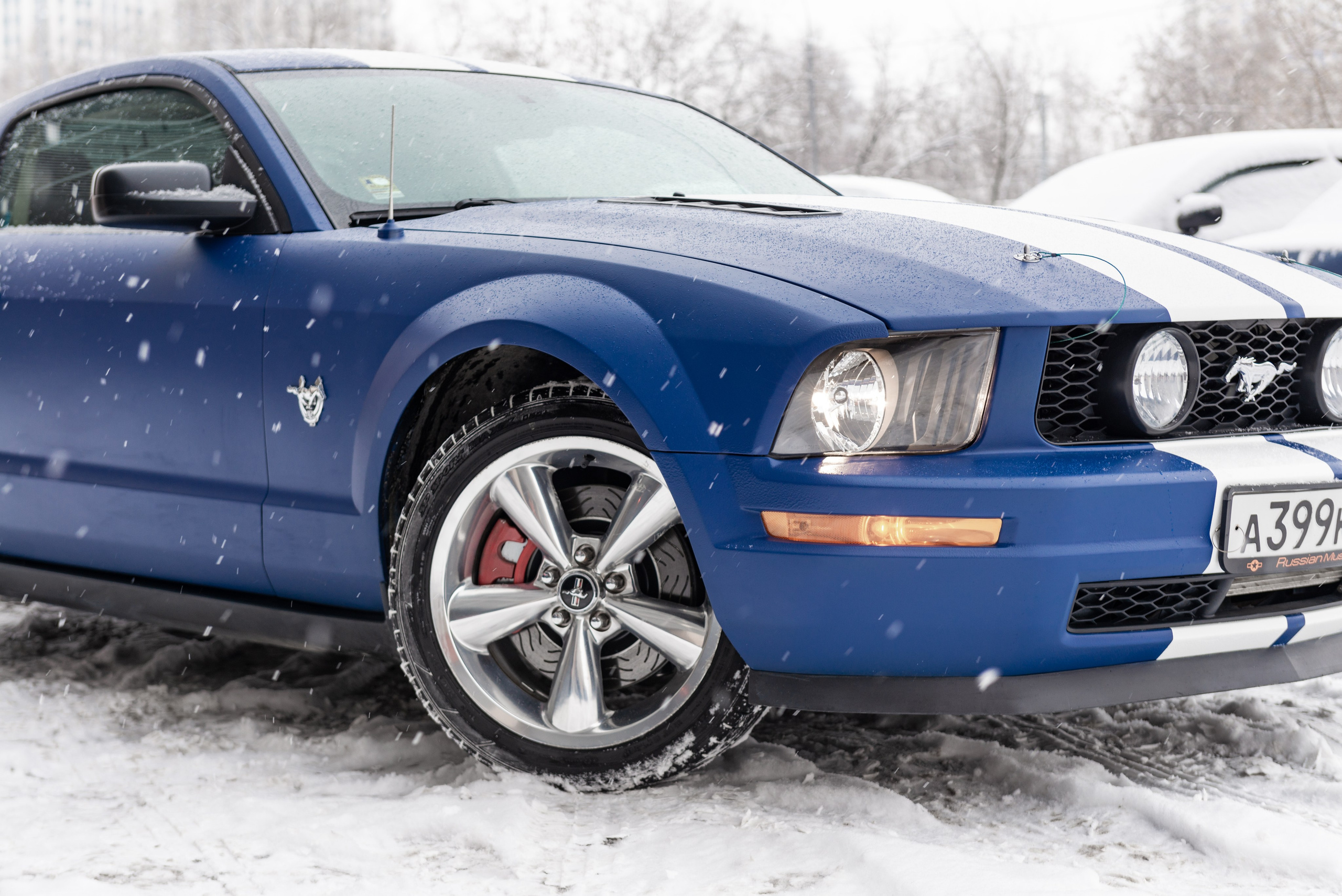 Фотосъемка Ford Mustang для продажи. PHOTOGRAPHER QUINTANA ROO