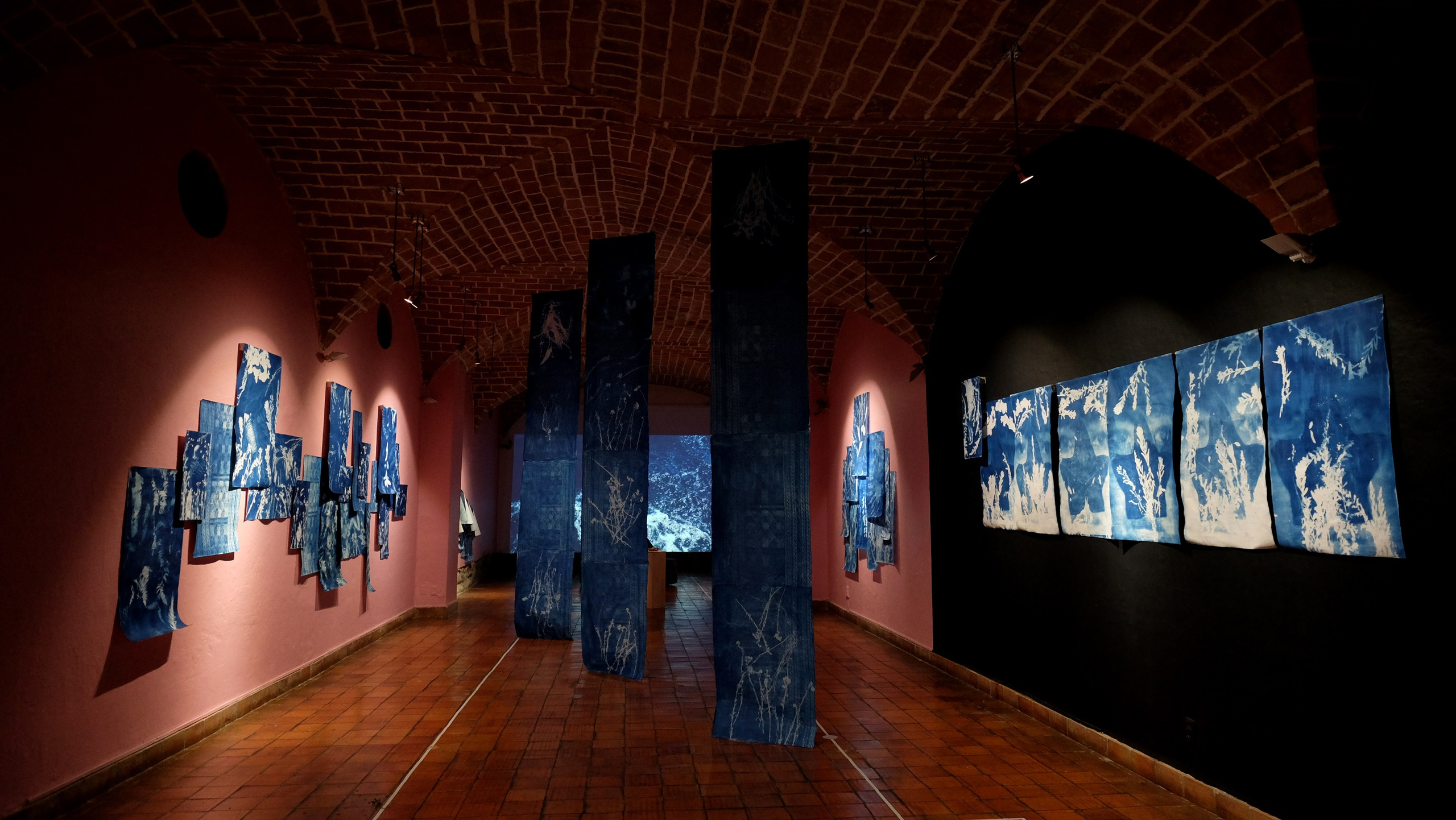 2021 — The Art of Healing. Curator, editor, researcher, and educator in Latin American photography Maíra C. Gamarra