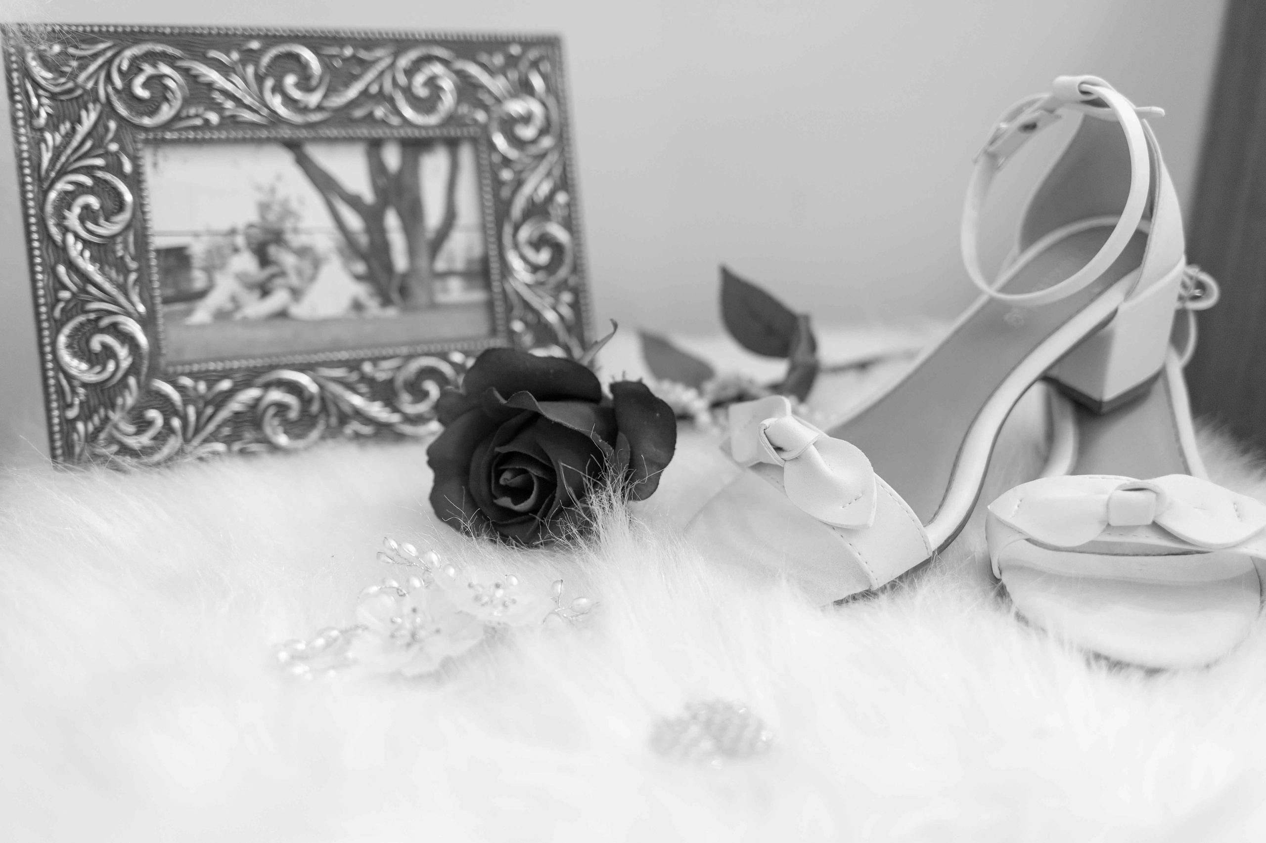 Valeria e Ramon. Bem-vindo ao Meu Mundo Fotográfico