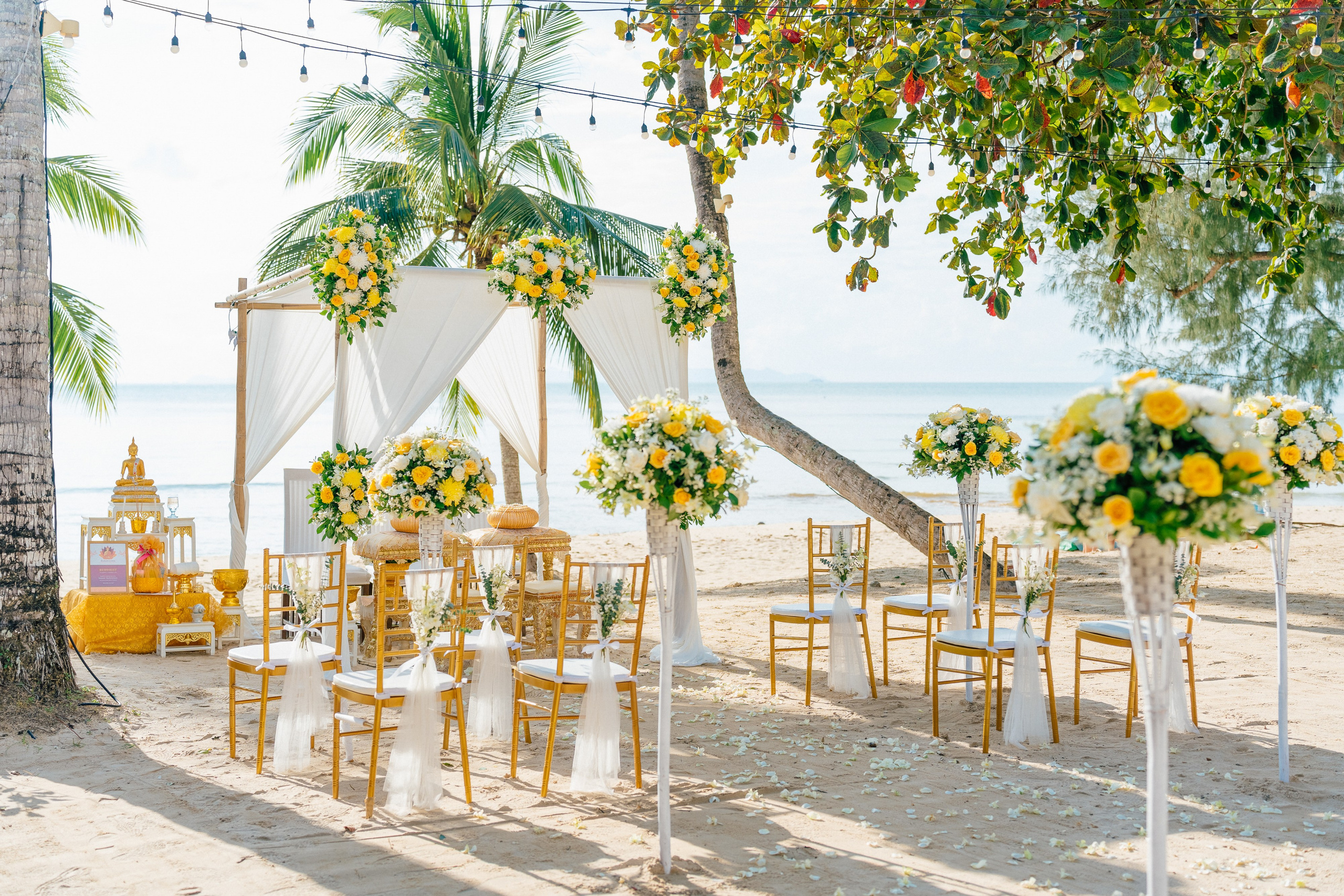 With guests. Wedding planner Magic Day Co