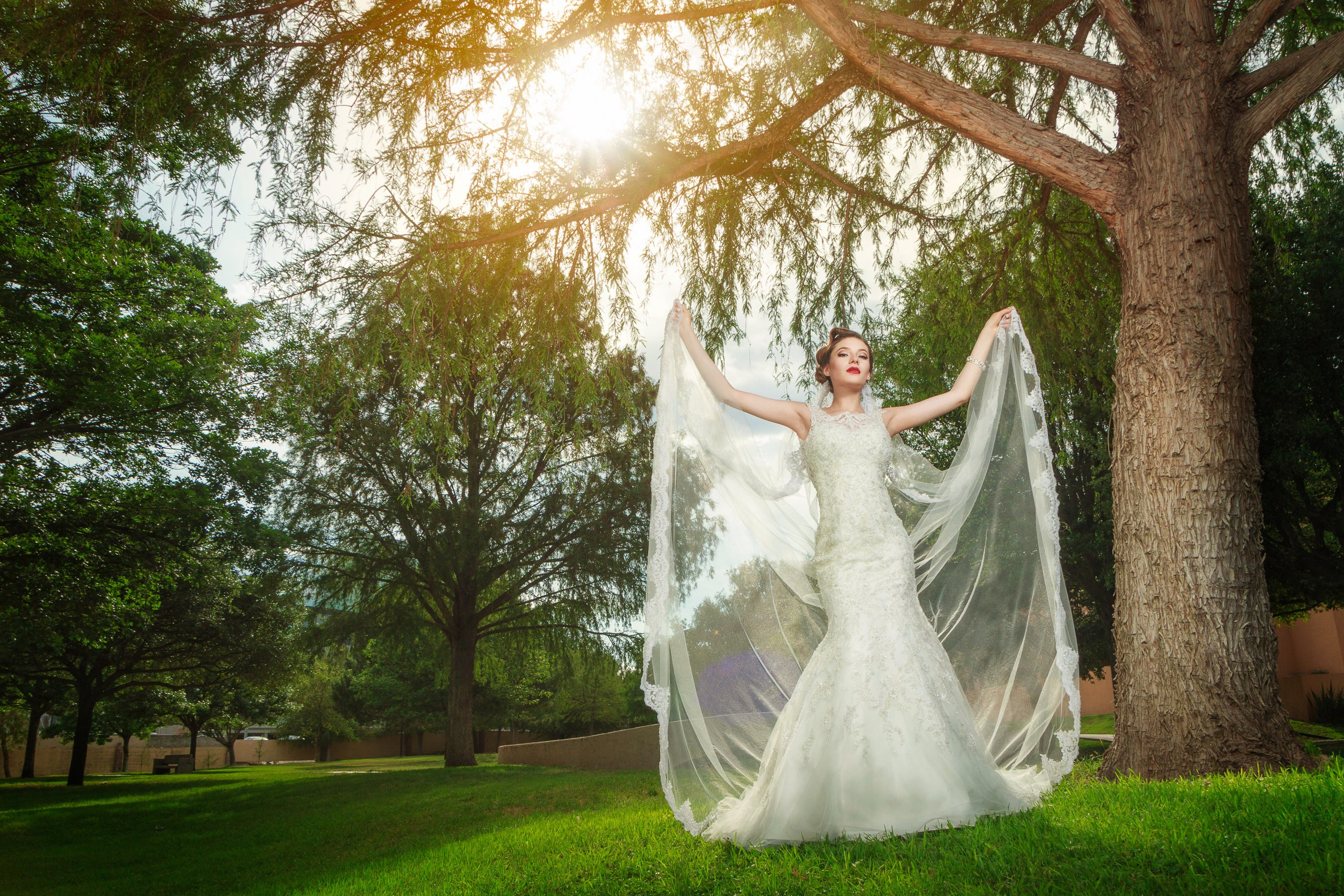Bodas. Fotógrafo Profesional en Chihuahua, México — Alex Mendoza
