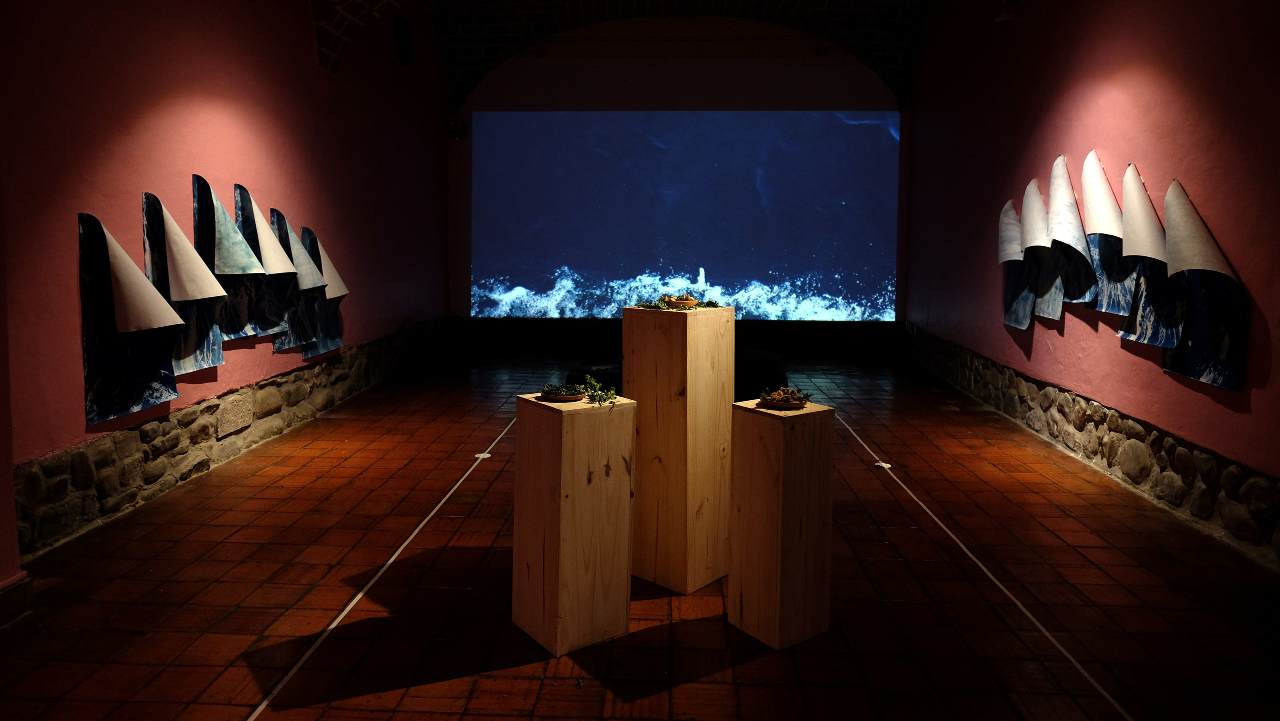 2021 — The Art of Healing. Curator, editor, researcher, and educator in Latin American photography Maíra C. Gamarra