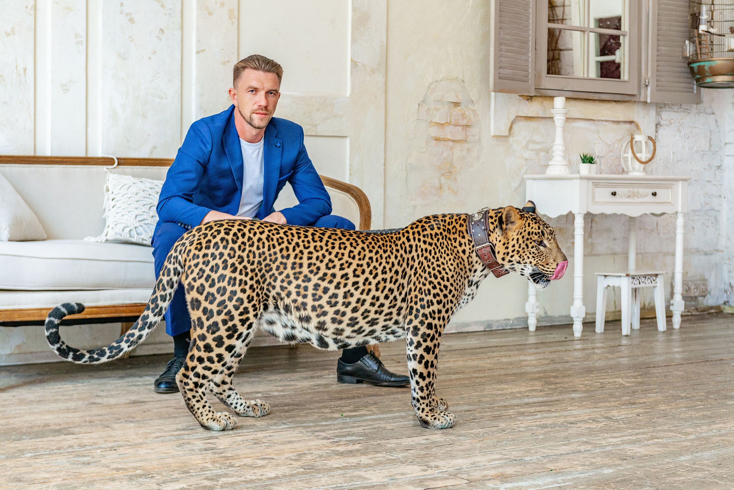 Photosession in the studio with a leopard. PHOTOGRAPHER QUINTANA ROO