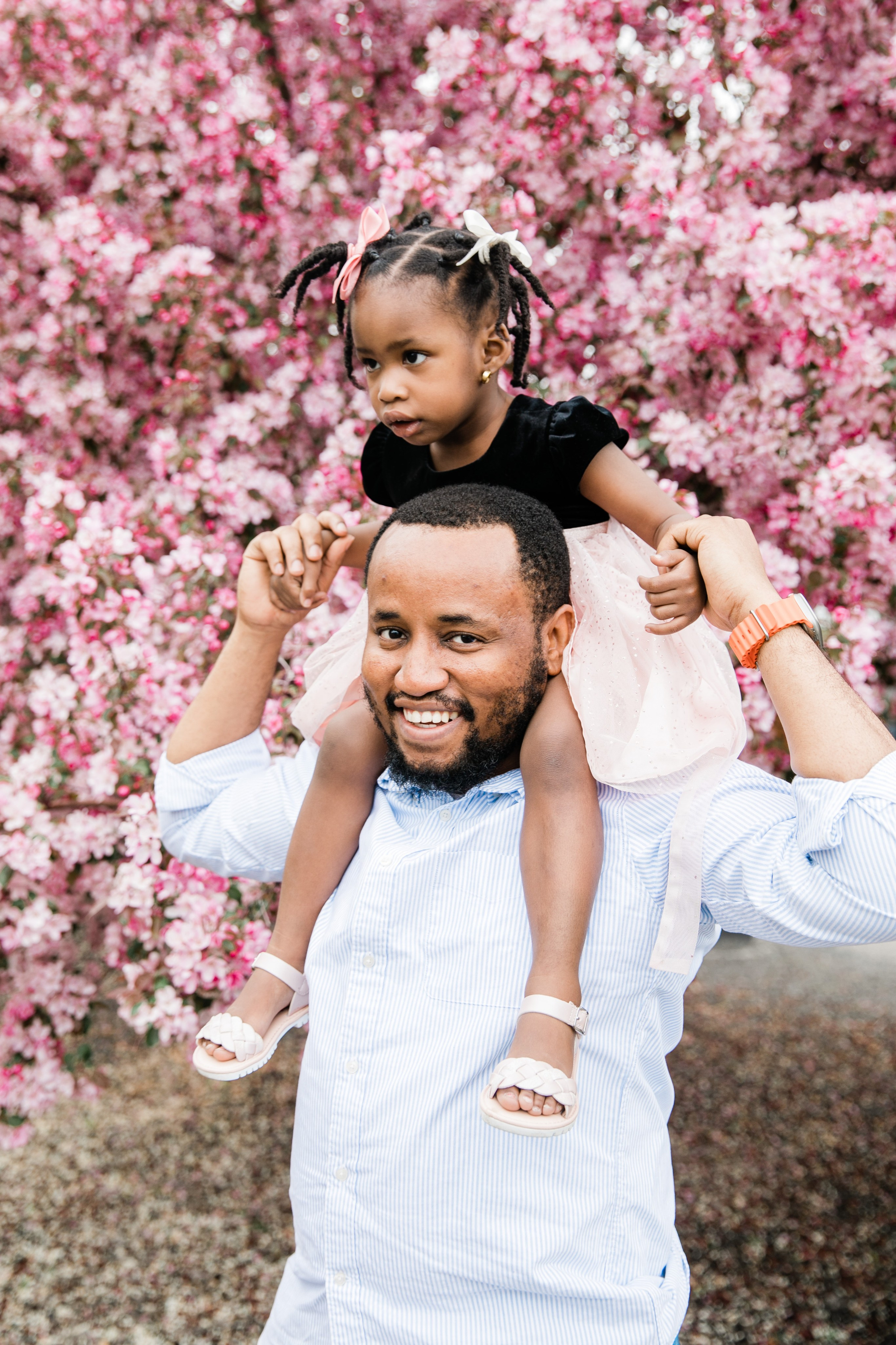 Ester — Cherry Blossom Family Photos. Fotografía accesible en Calgary