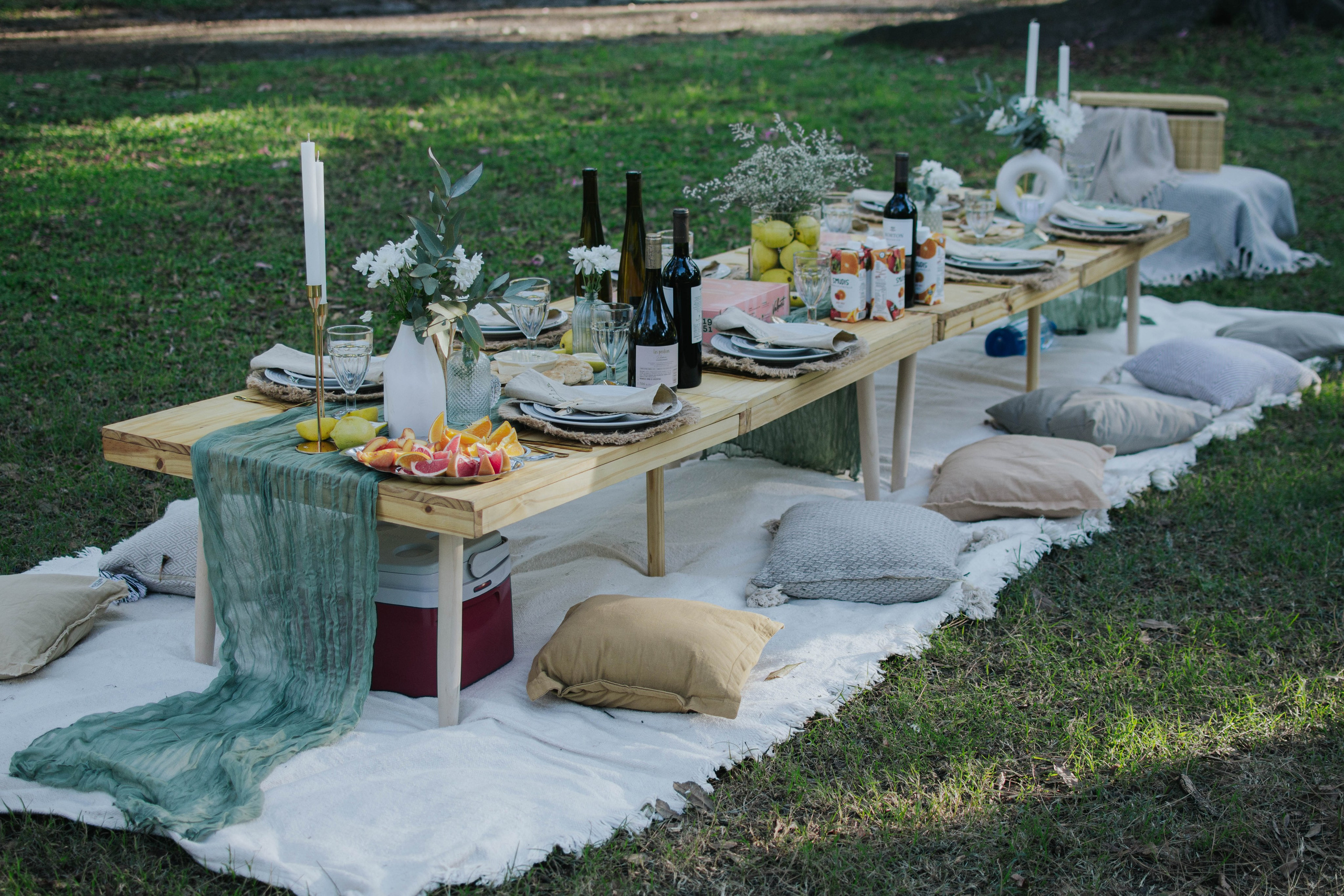 ATMÓSFERA: пикник в день рождения. Фотограф @elmirkami в городе Буэнос-Айрес