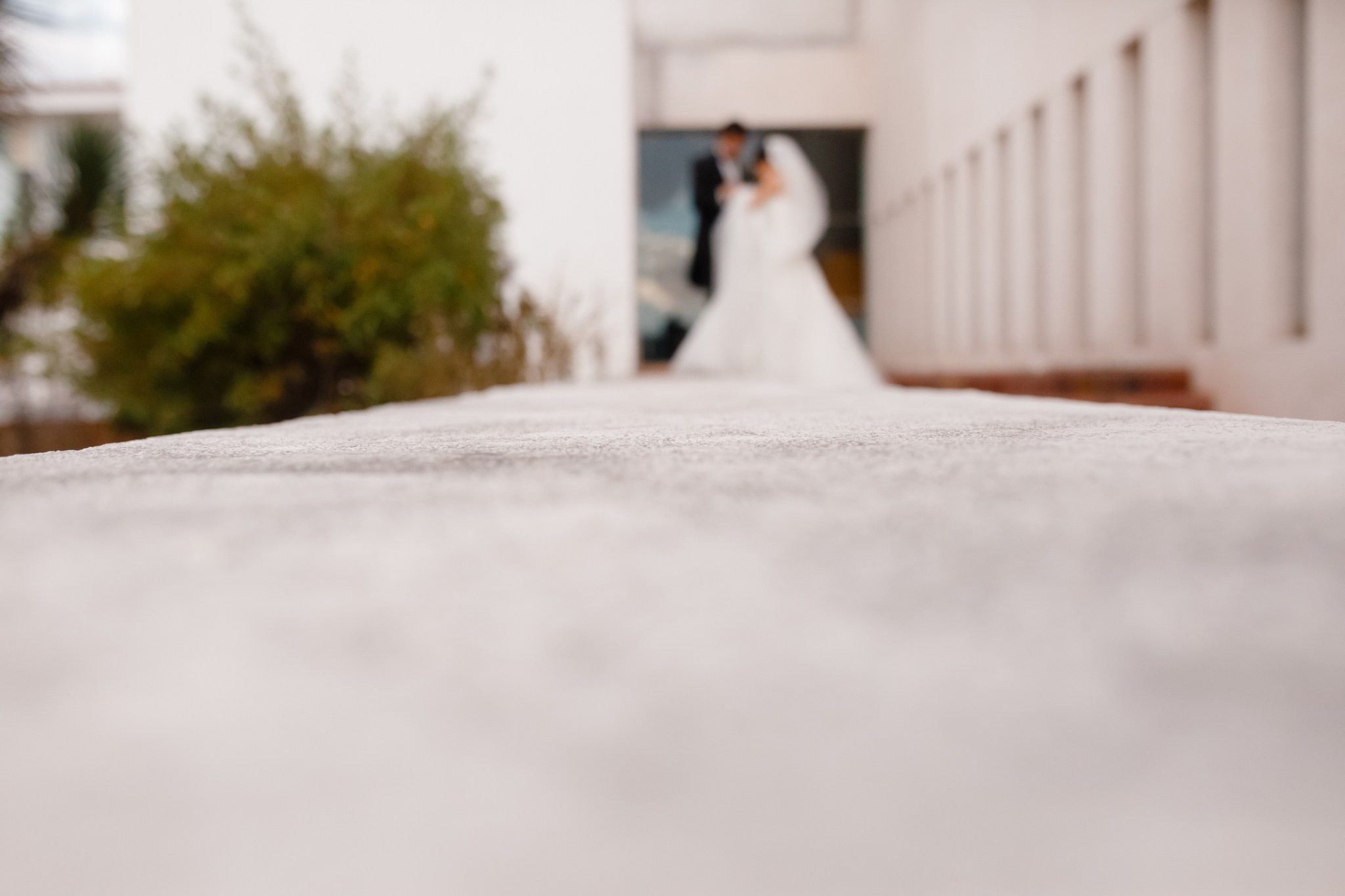 Claudia y Carlos. Fotógrafo de bodas