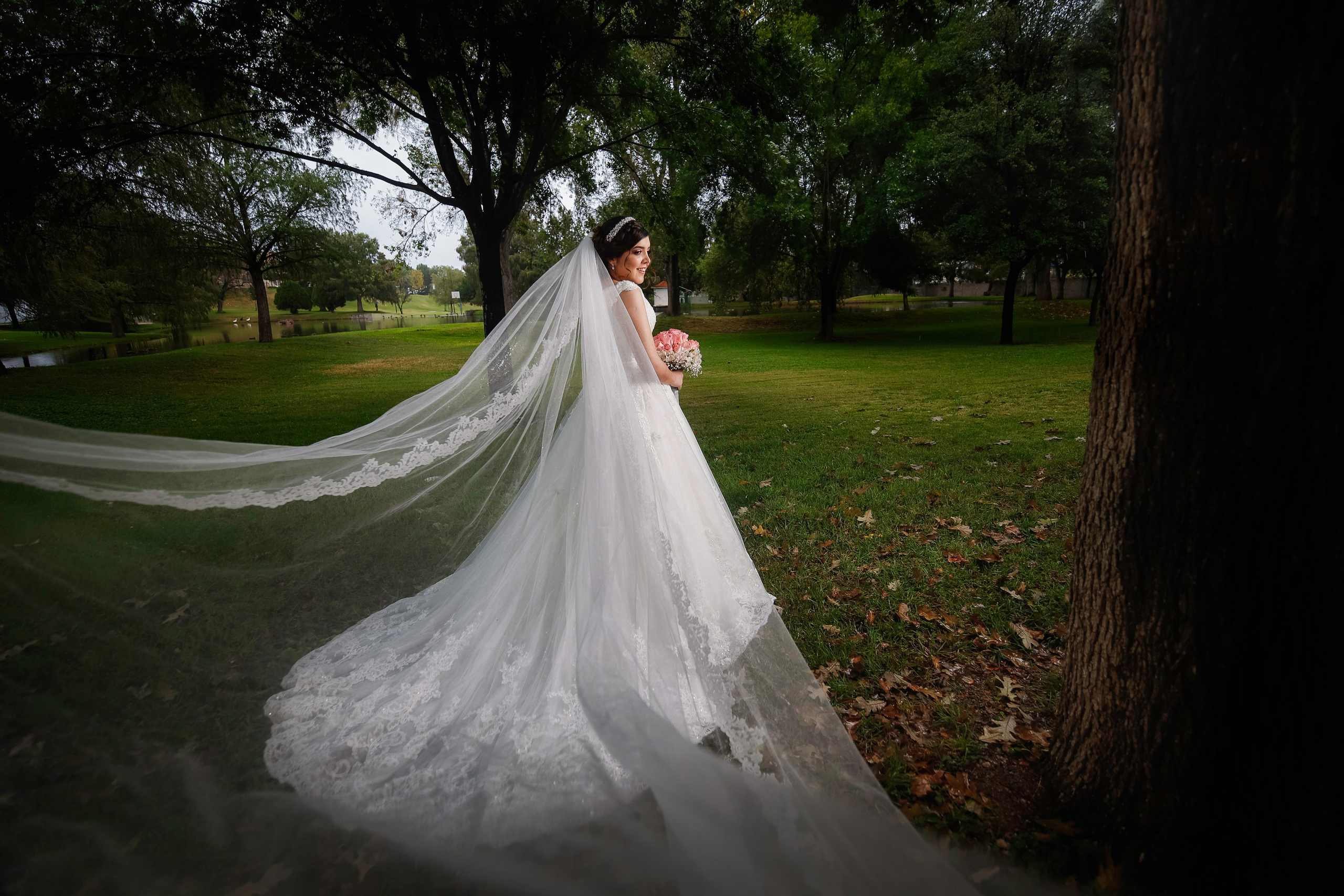 Bodas. Fotógrafo Profesional en Chihuahua, México — Alex Mendoza