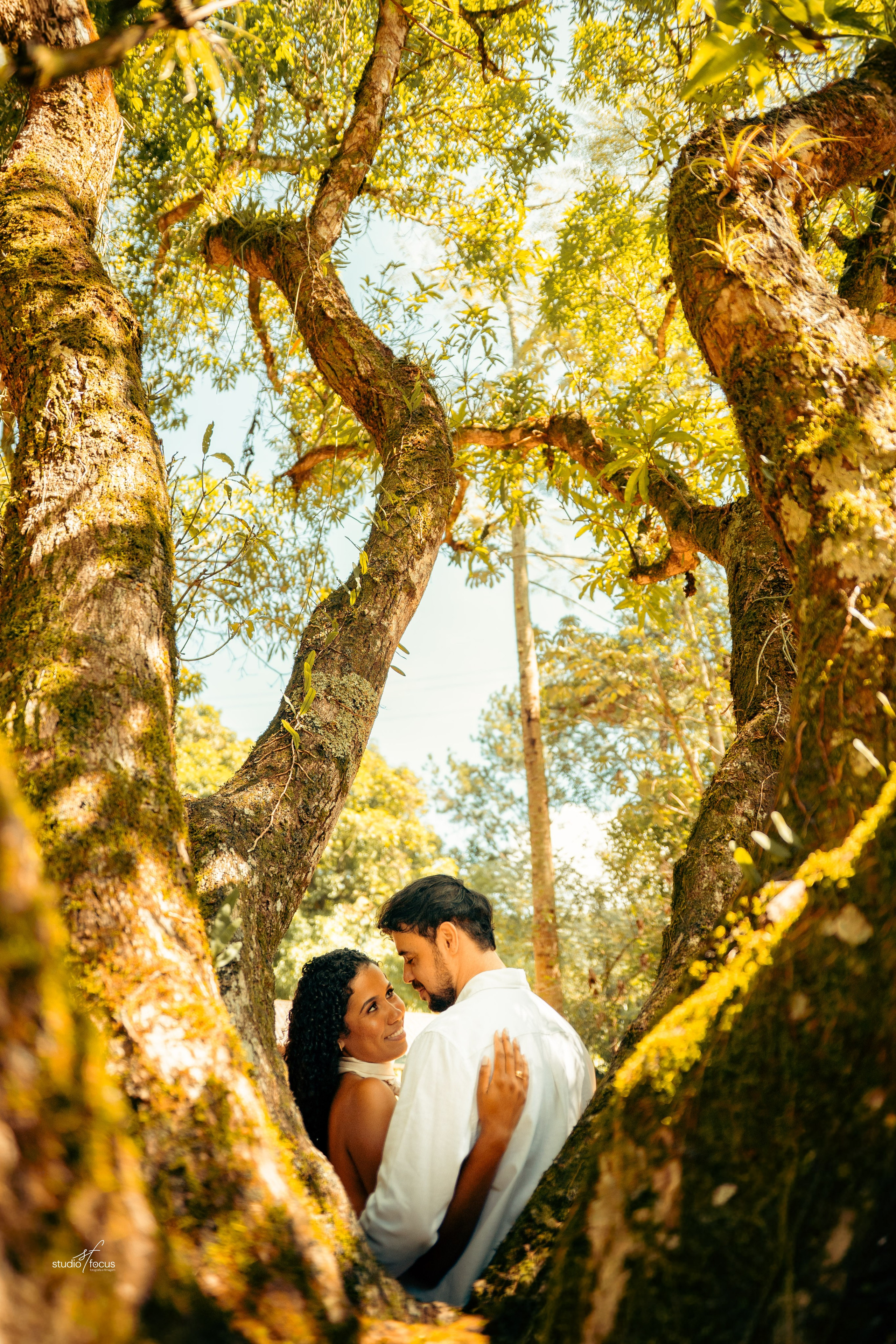 Pré-Wedding com pets. Studio Focus