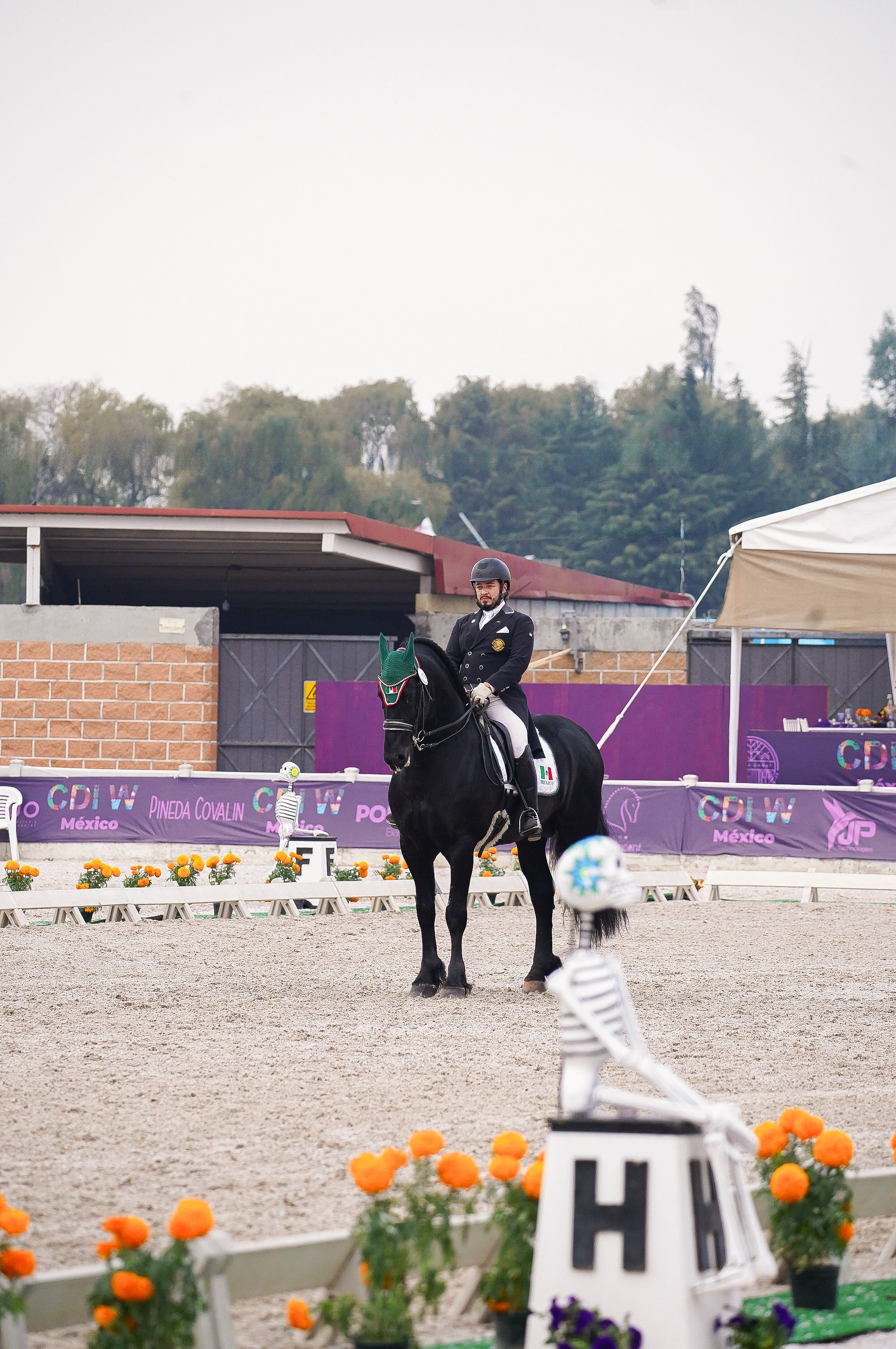 Vacation photoshoot in Mexico City. Capture your trip with a professional photographer. Horse riding dressage doma clasica show jumping Tour. Ekaterina Frolova photography