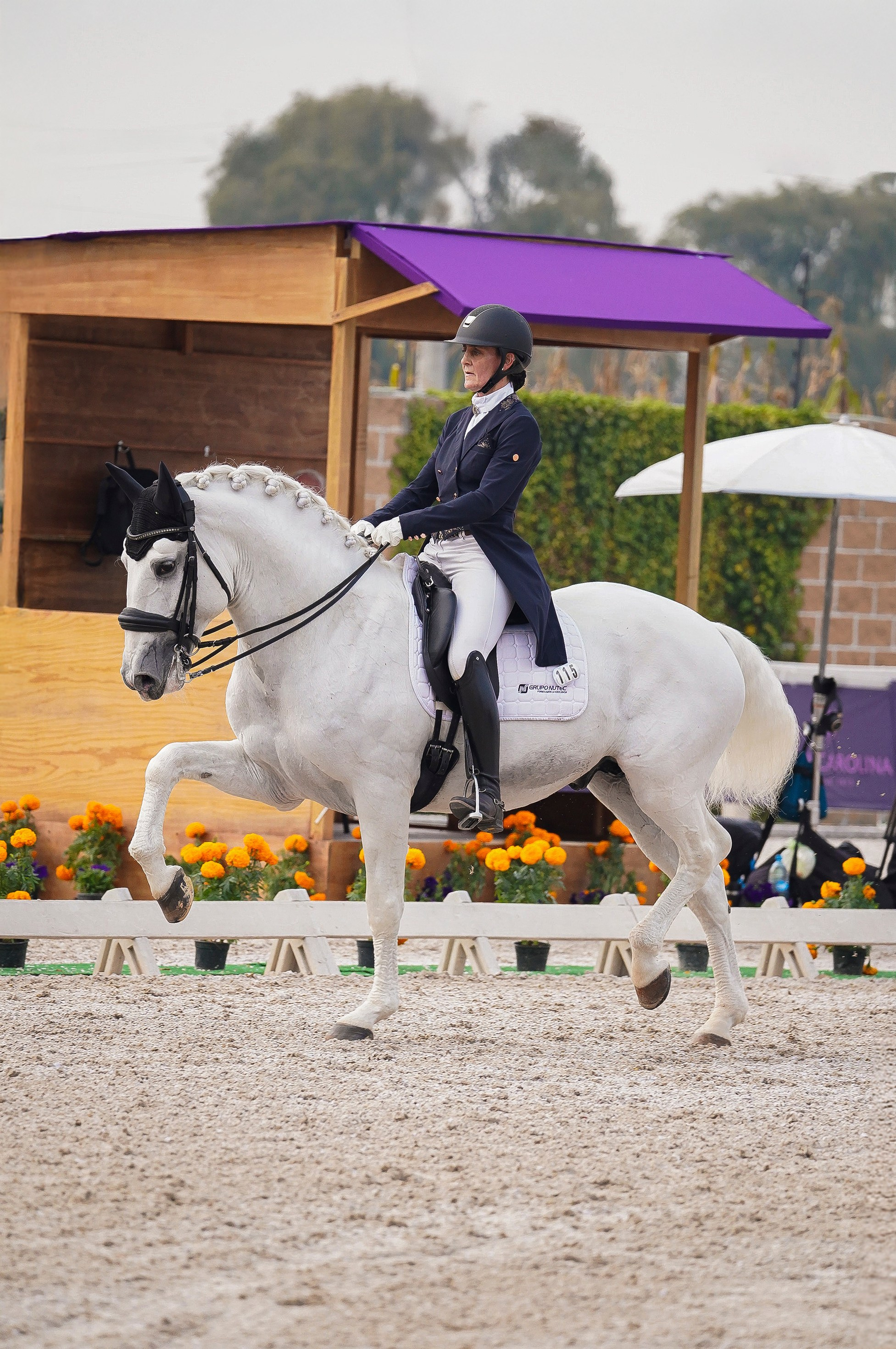 Vacation photoshoot in Mexico City. Capture your trip with a professional photographer. Horse riding dressage doma clasica show jumping Tour. Ekaterina Frolova photography