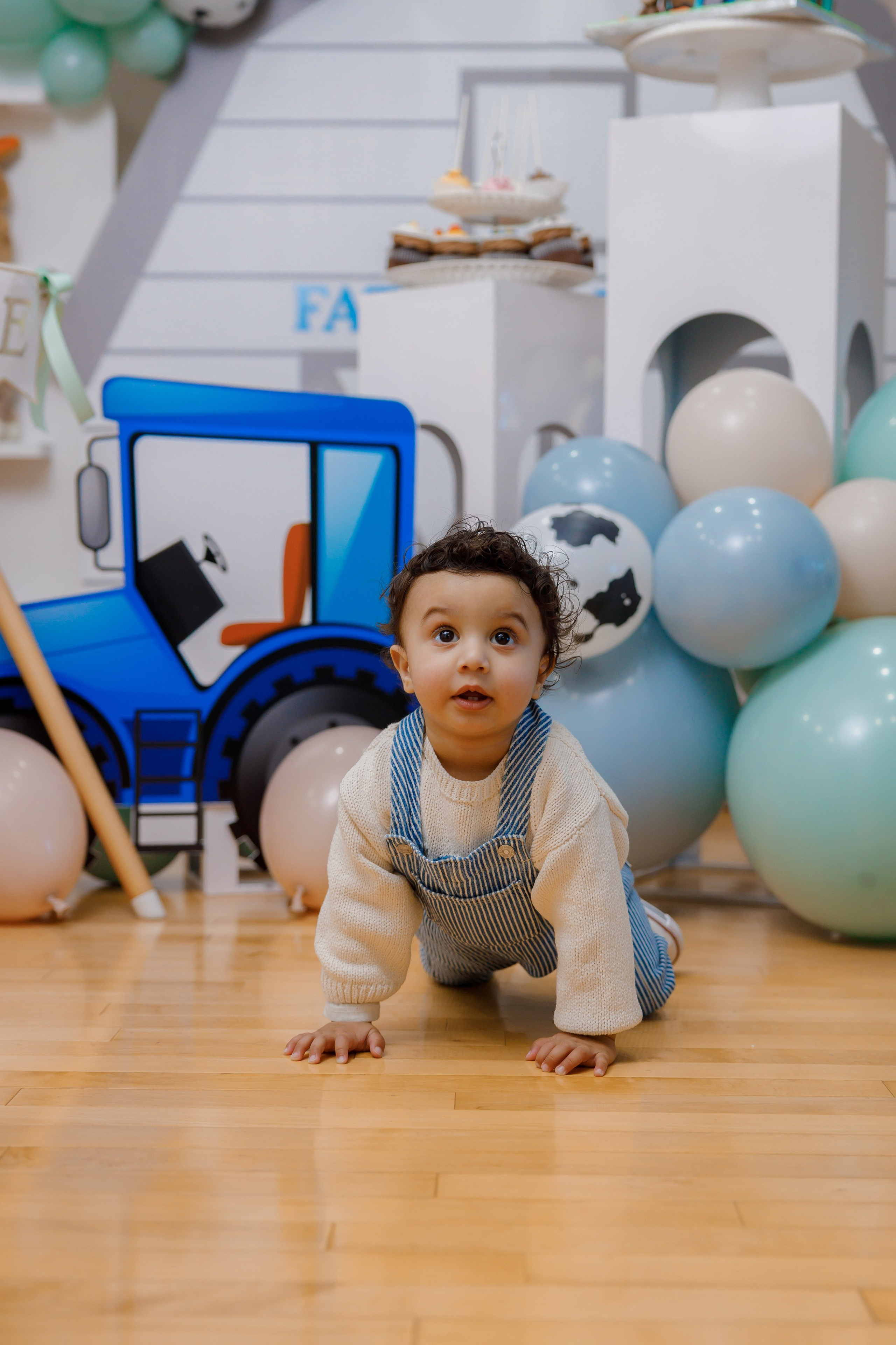Fateh’s 1st birthday. Photographer Elvira Hryshchenko