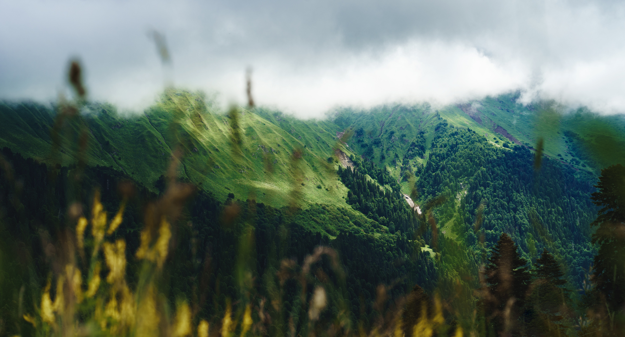 • TRAVEL & ПЕЙЗАЖИ. Фотограф на Пхукете Илья PERELUDE©