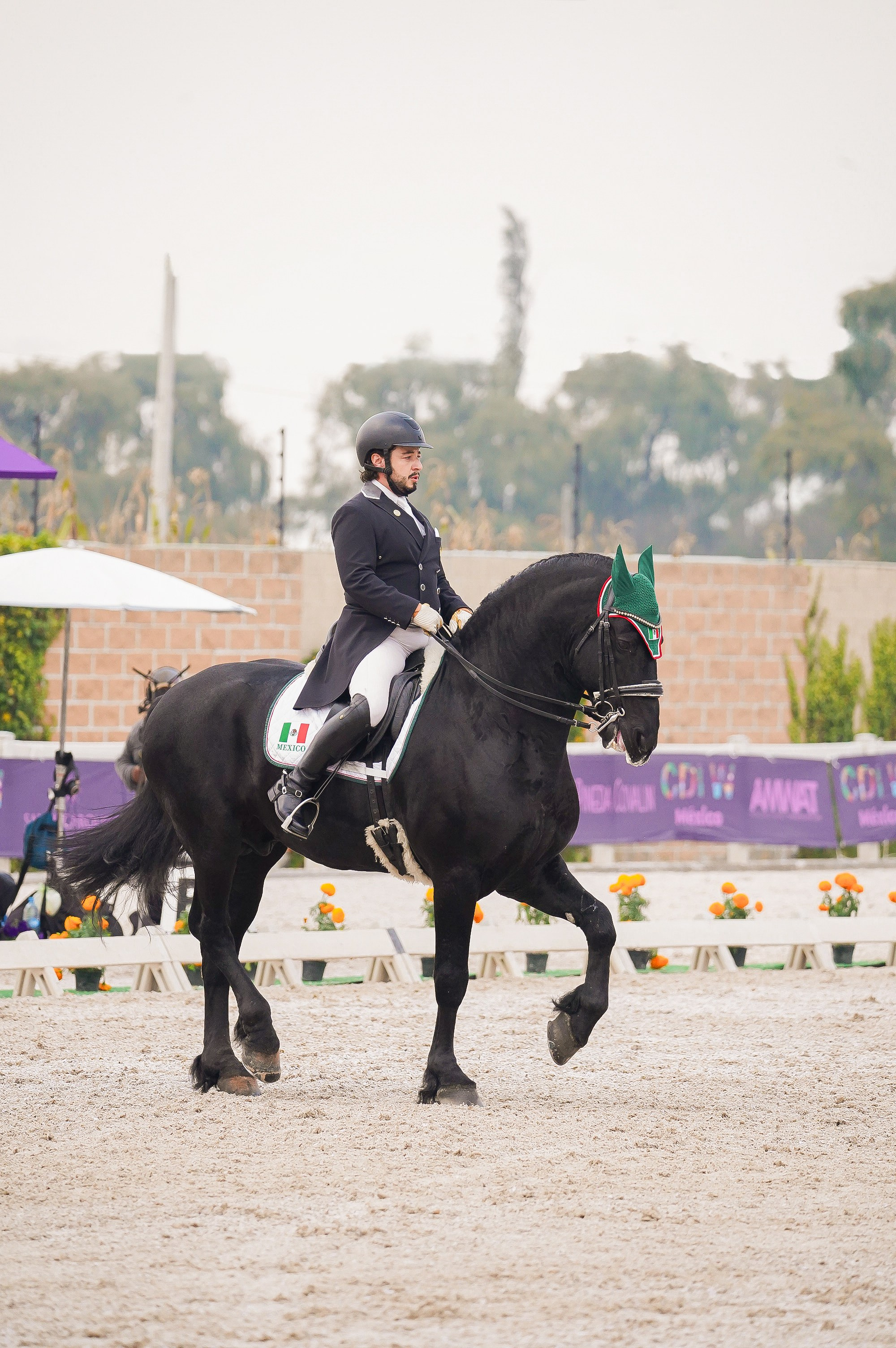 Vacation photoshoot in Mexico City. Capture your trip with a professional photographer. Horse riding dressage doma clasica show jumping Tour. Ekaterina Frolova photography