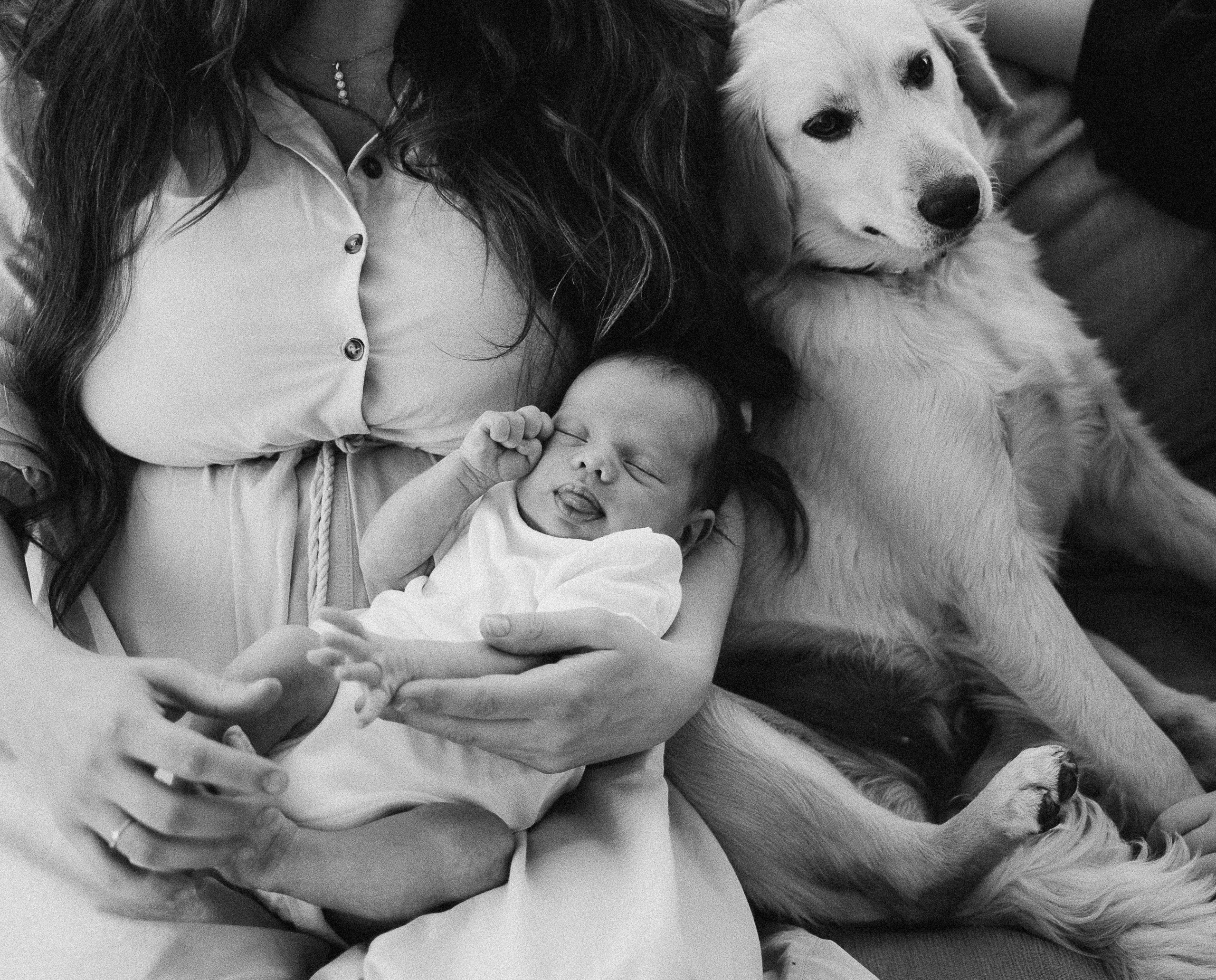 Sesión fotográfica de recién nacido  en Quito. Fotografo de familia en Quito Anastasia Eliseeva