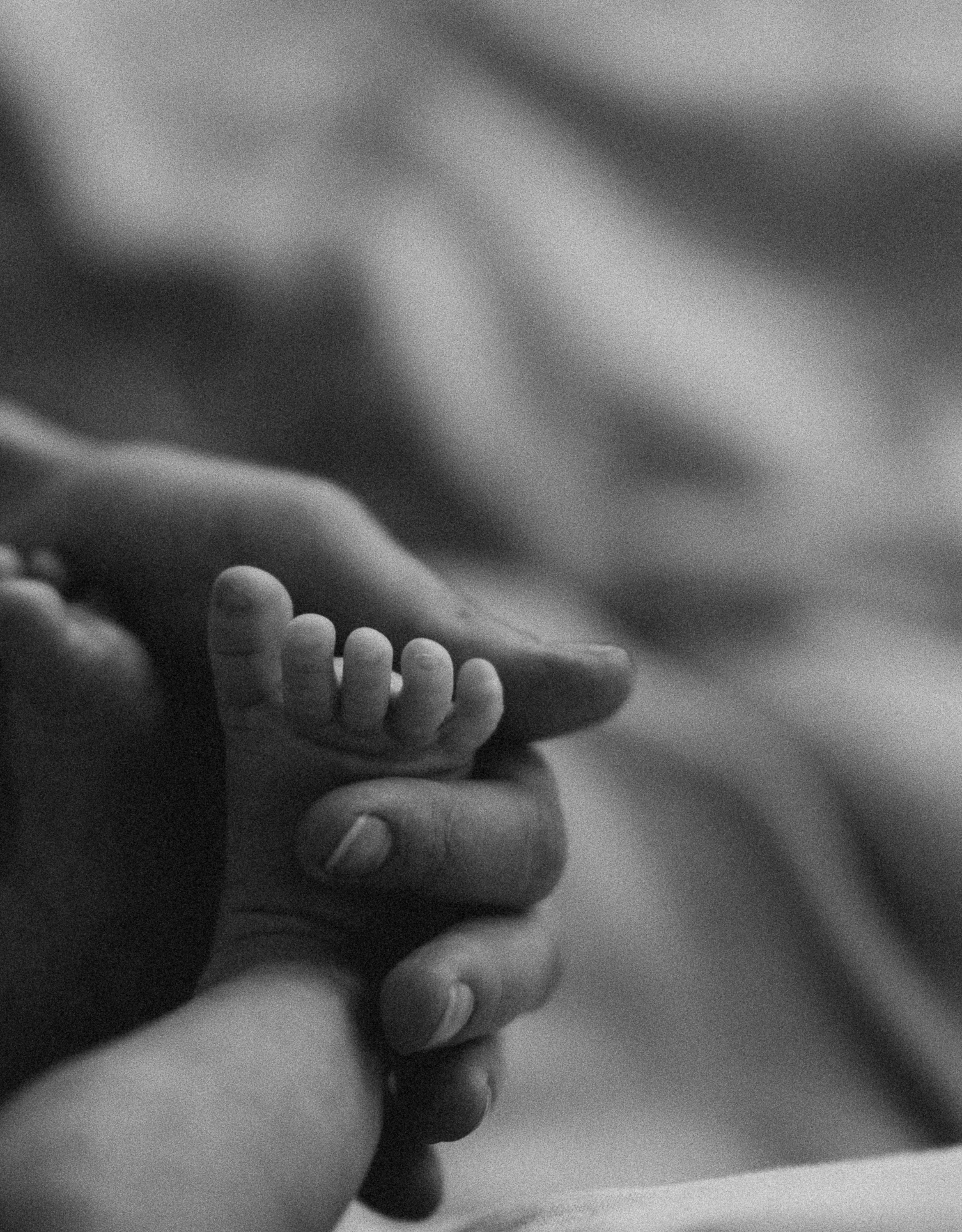 Sesión fotográfica de recién nacido  en Quito. Fotografo de familia en Quito Anastasia Eliseeva