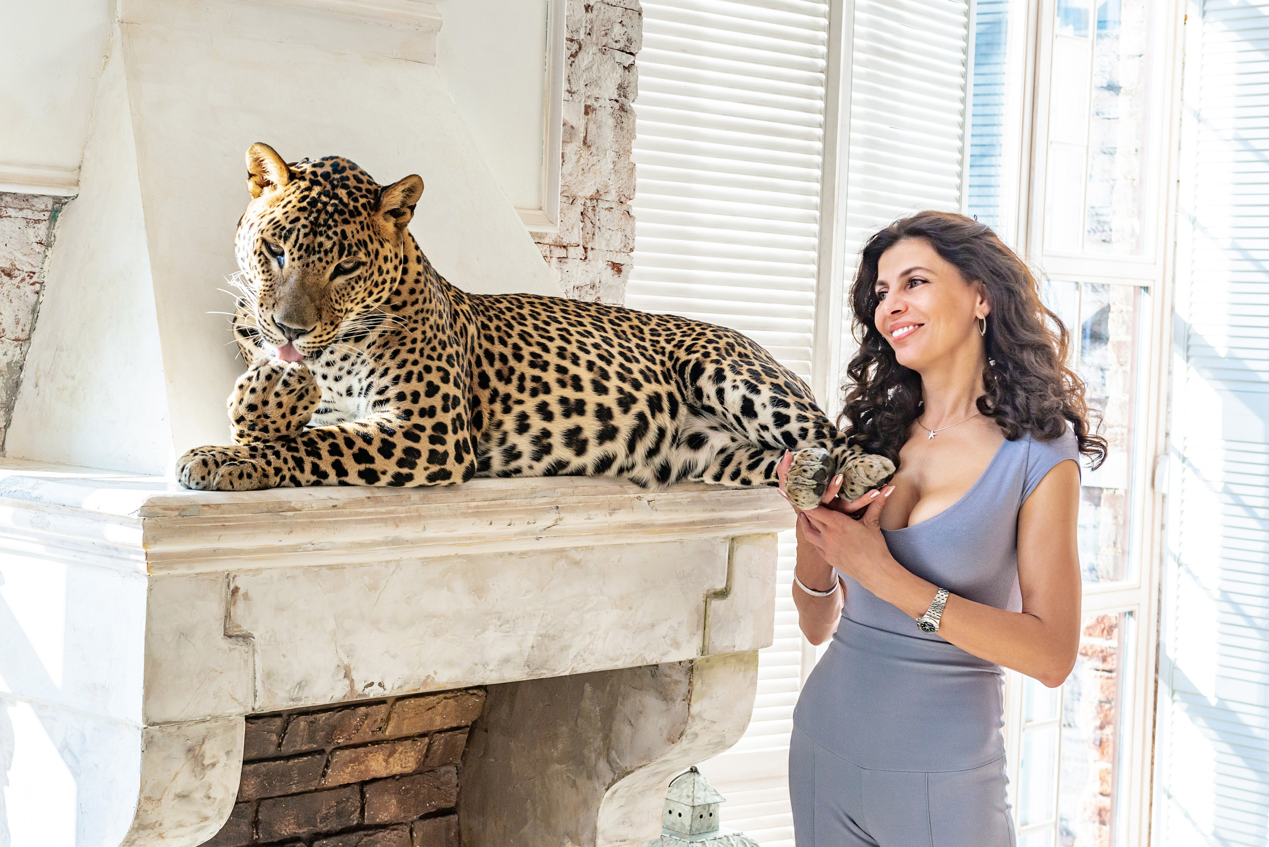Photosession in the studio with a leopard. PHOTOGRAPHER QUINTANA ROO
