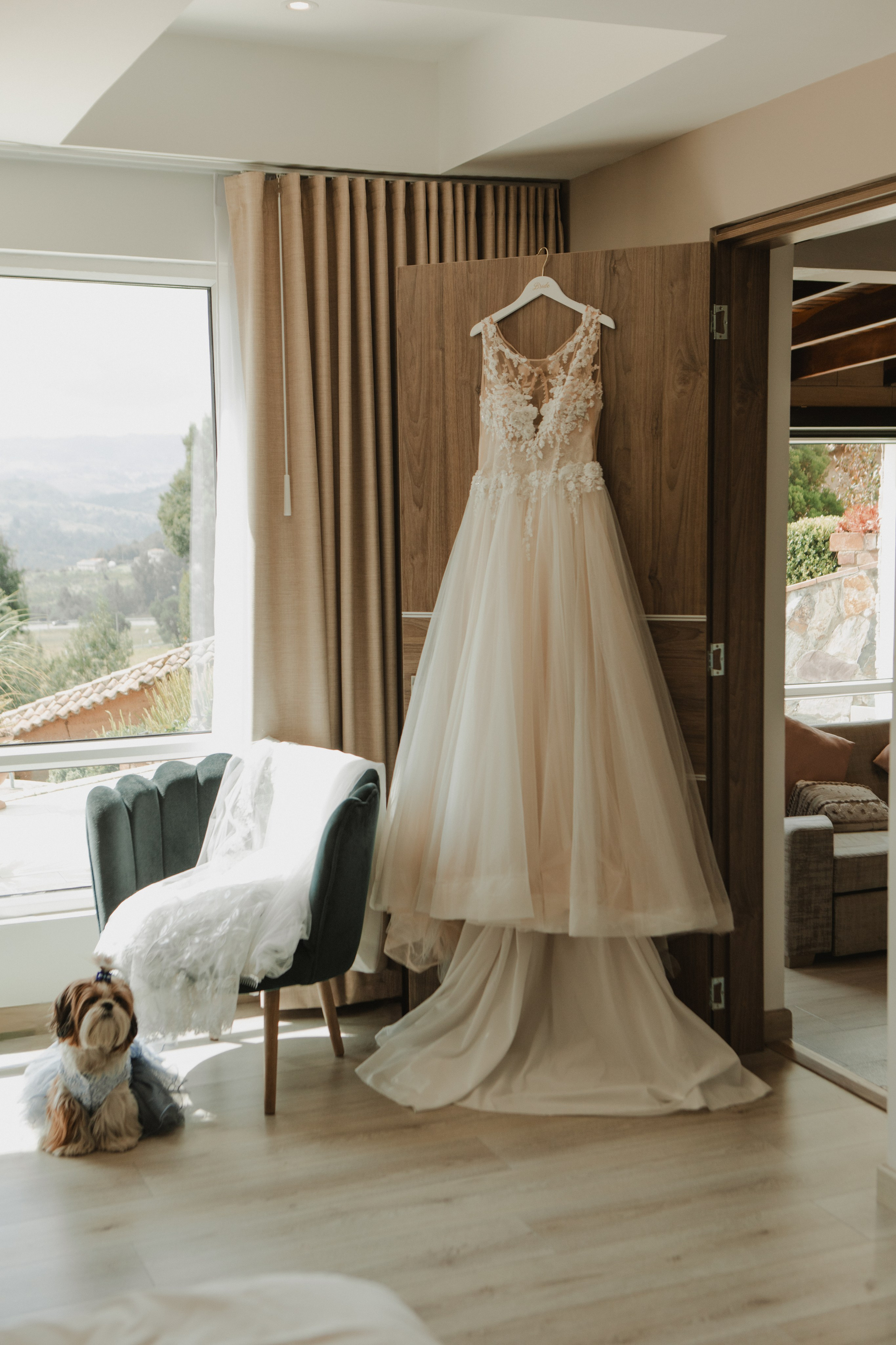 BODAS. FOCALMAGIC