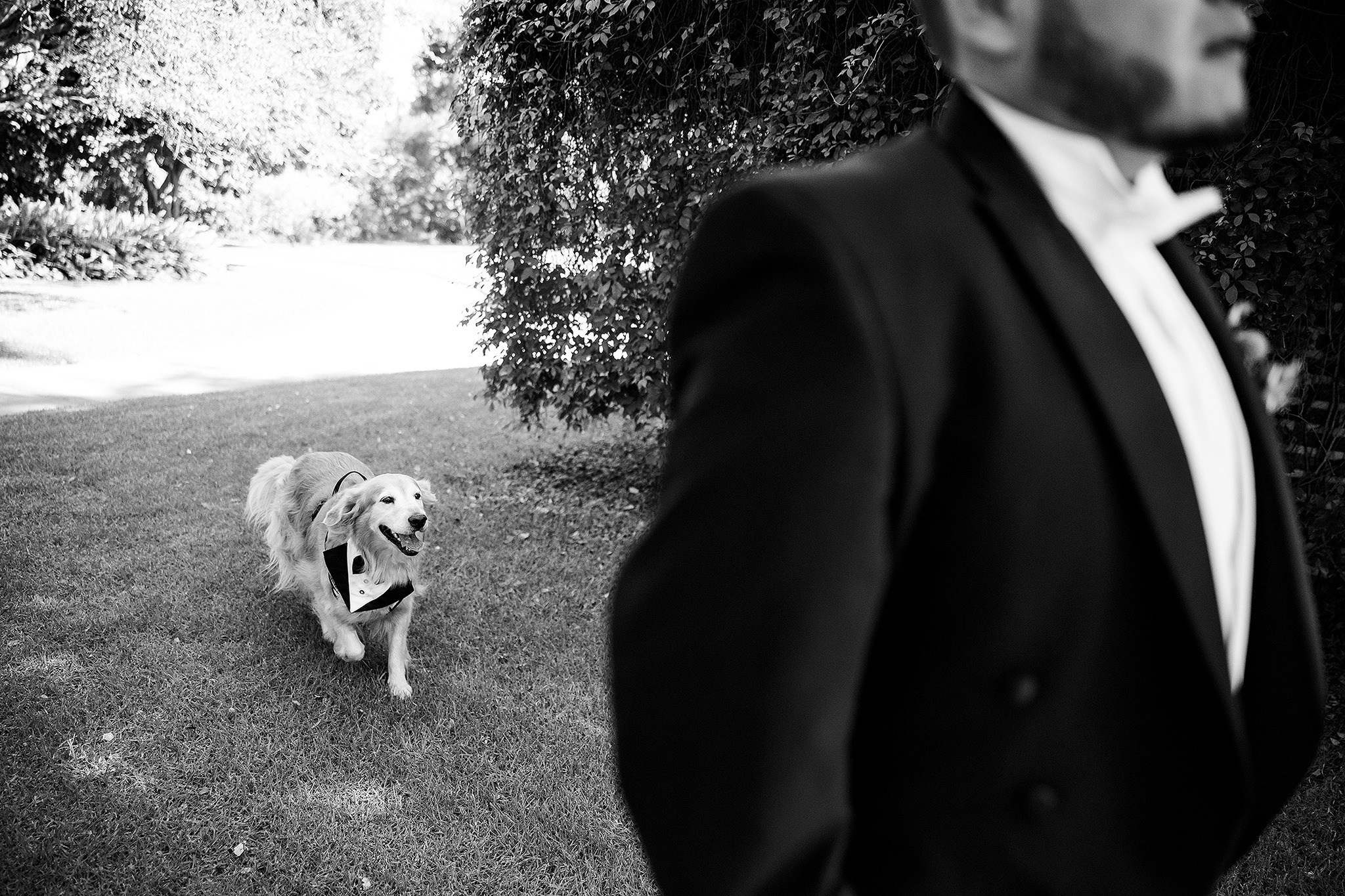 Galería Momentos. Jorge Romero Fotógrafo de bodas