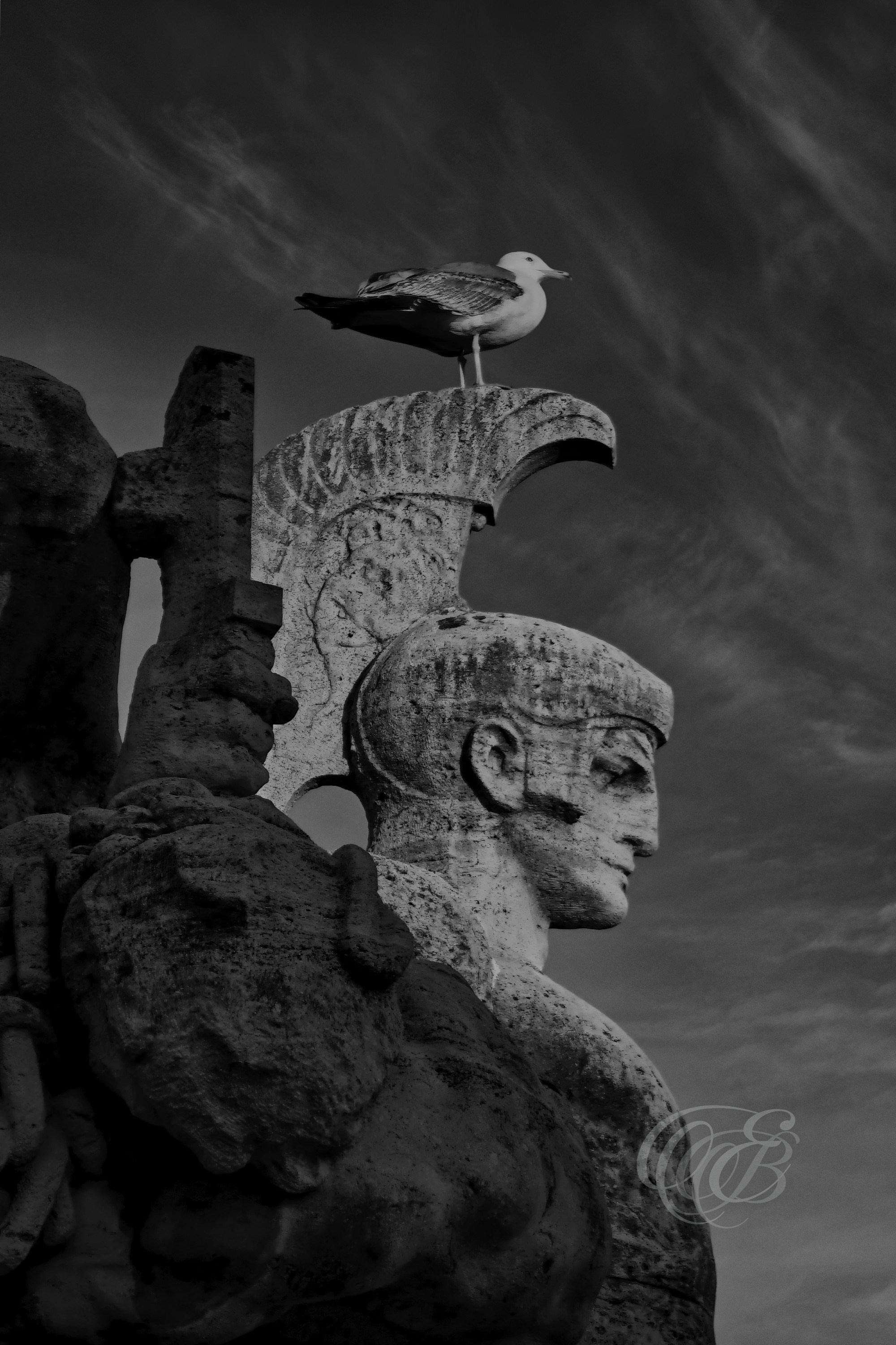 Rome Italy - Seagull over Ponte Vittorio Emanuele II - B&W - Eduardo Bartoli Photography - Black and white photograph of a seagull on Ponte Vittorio Emanuele II in Rome, Italy – photography by Eduardo Bartoli.