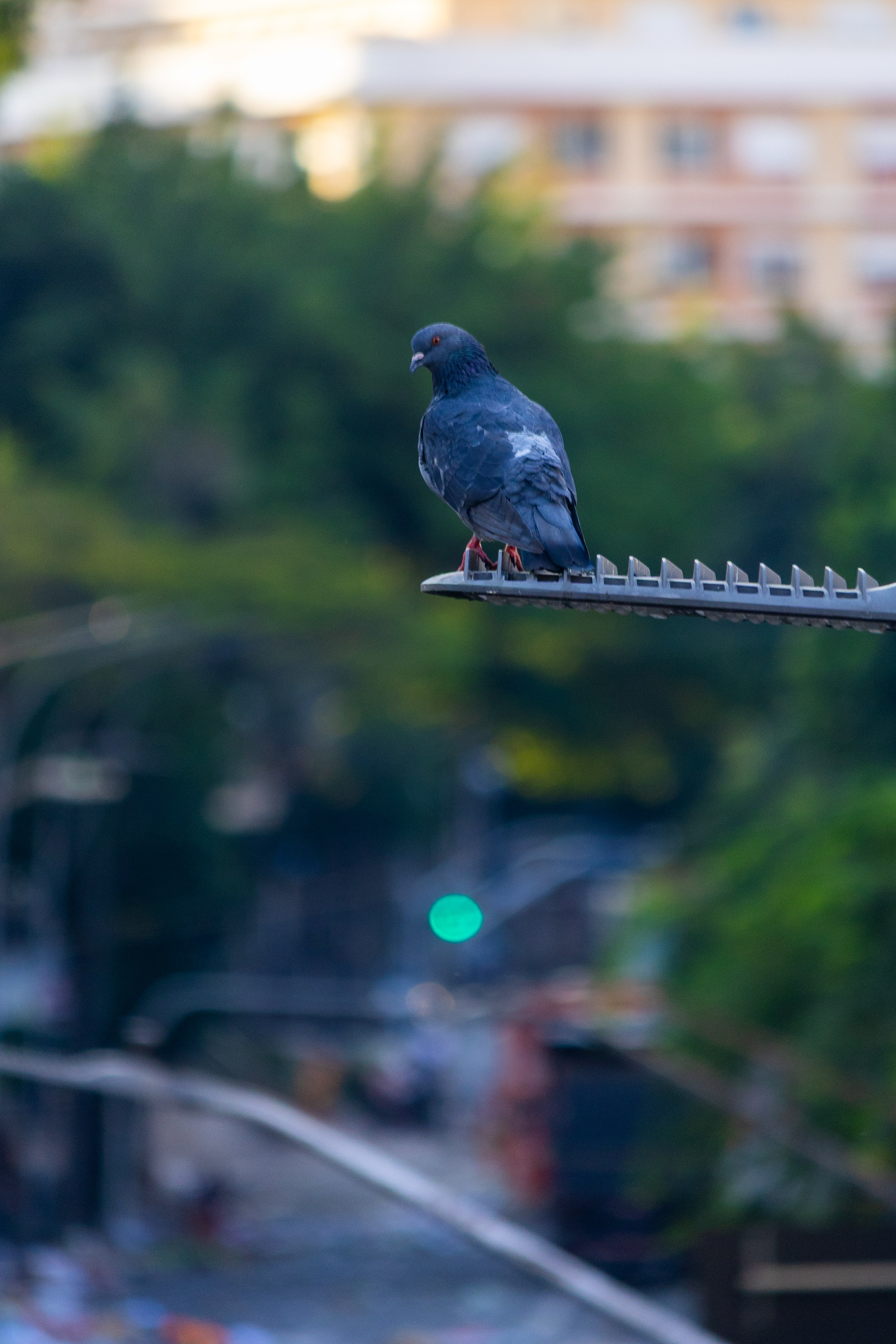 Olhar do cotidiano. Eduardo Serra Fotografia | Retratos e Paisagens em São Paulo